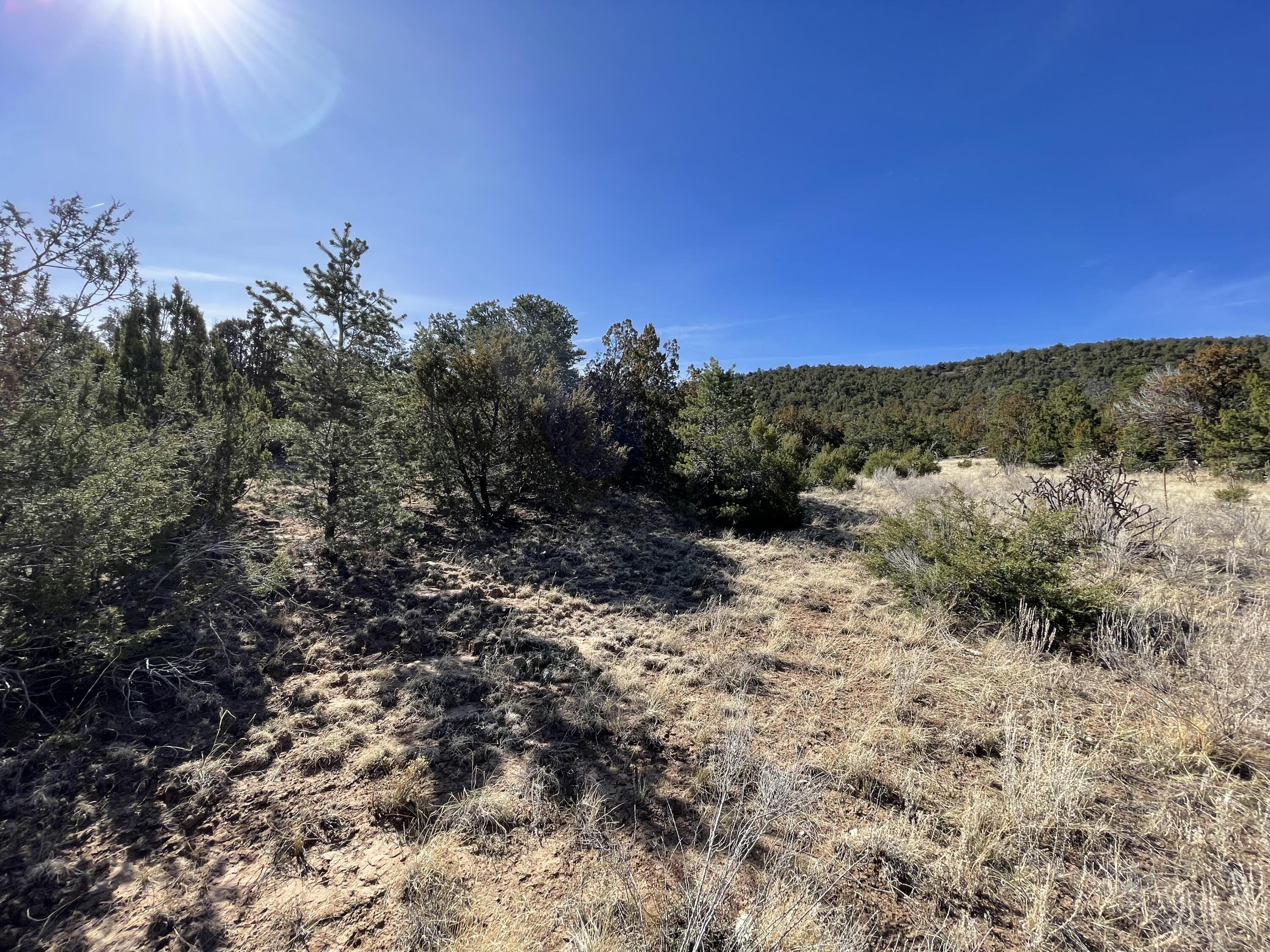 43 Canon Escondido Place, Sandia Park, New Mexico image 14