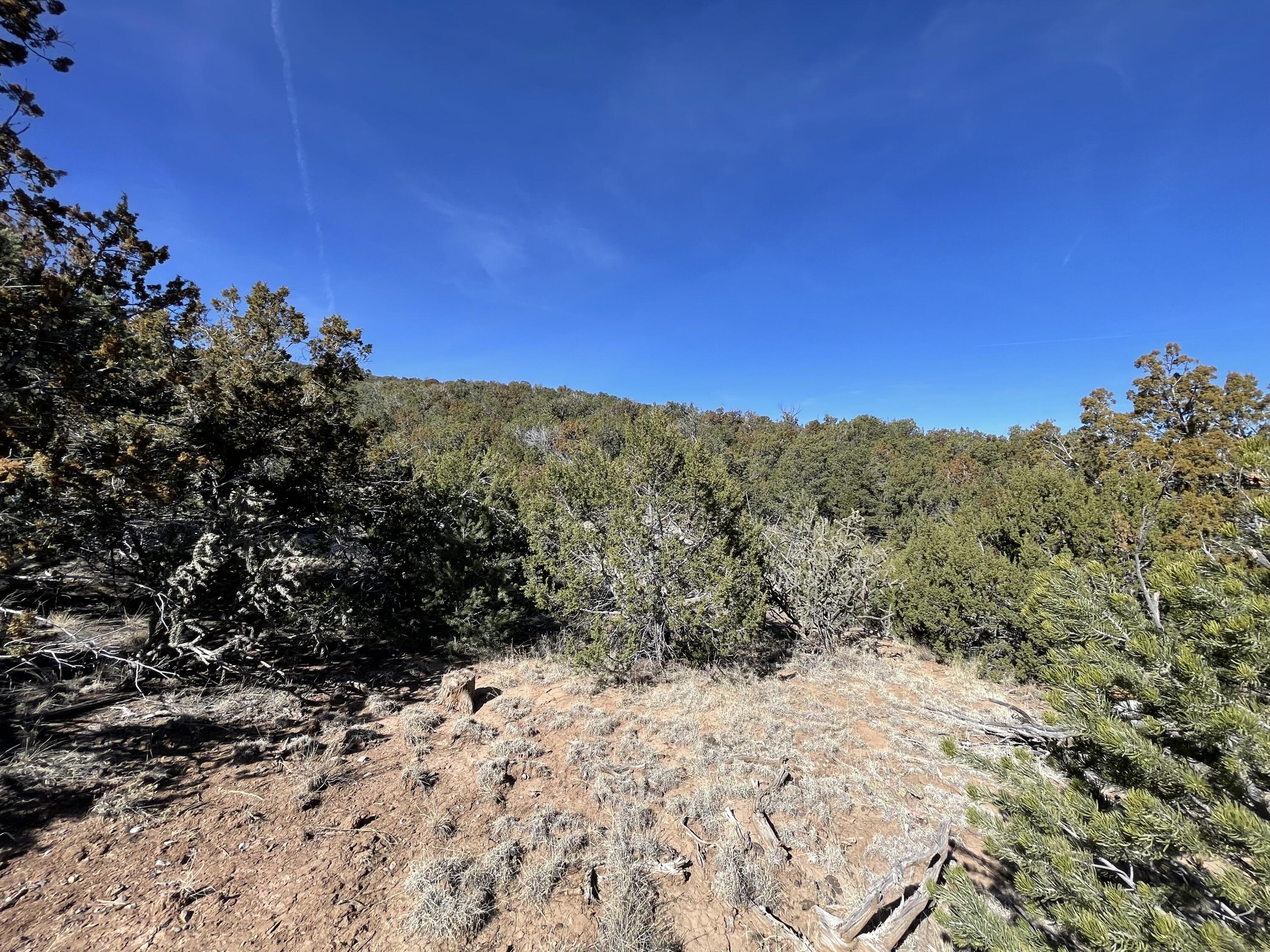 43 Canon Escondido Place, Sandia Park, New Mexico image 15