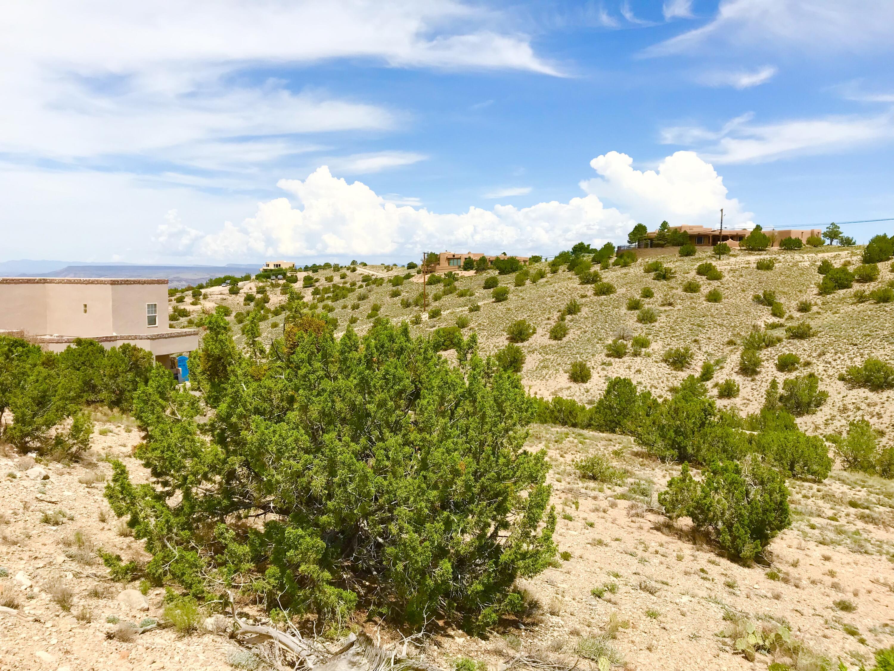 41 Vista De Las Sandias, Placitas, New Mexico image 11