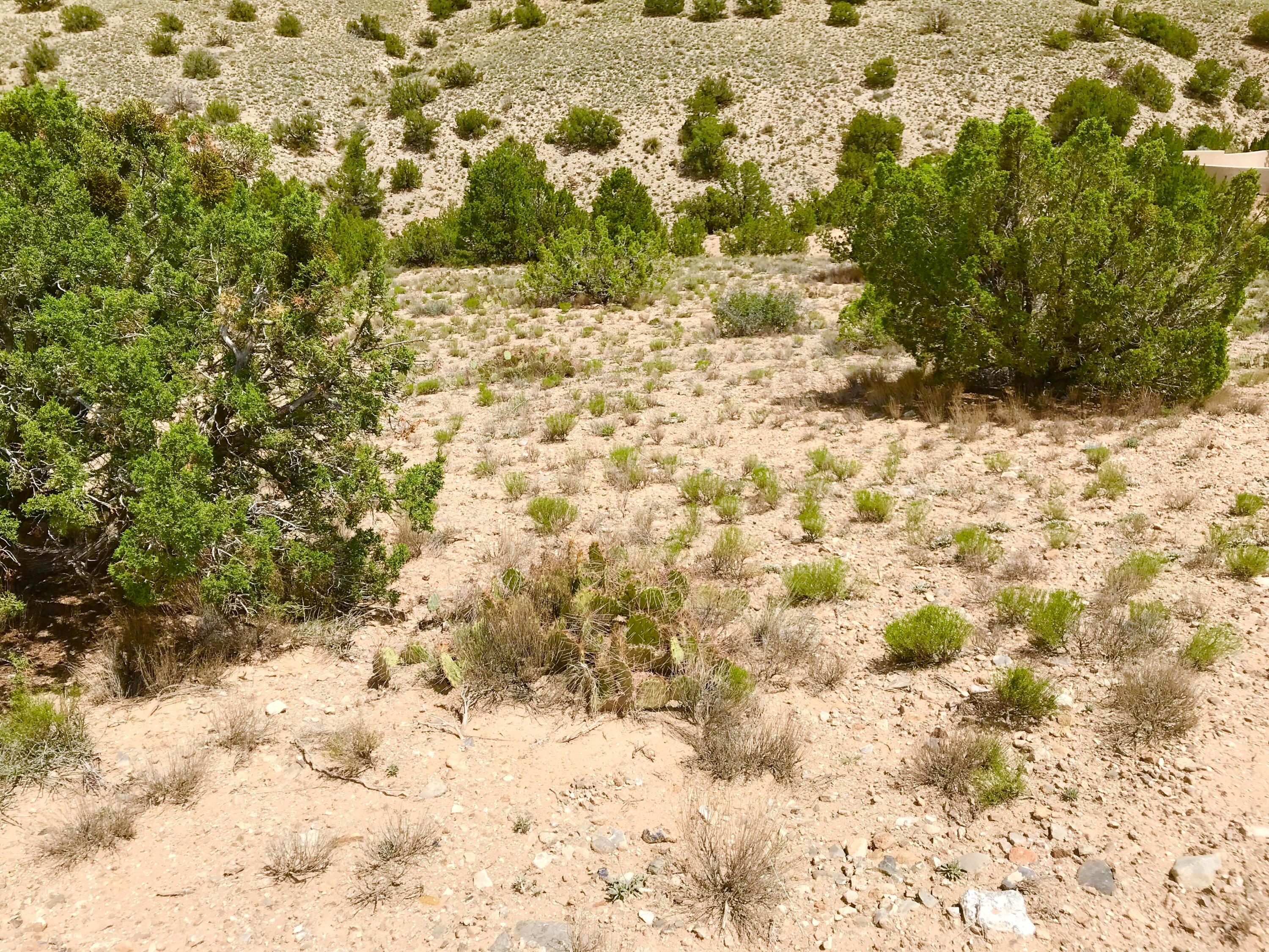 41 Vista De Las Sandias, Placitas, New Mexico image 5