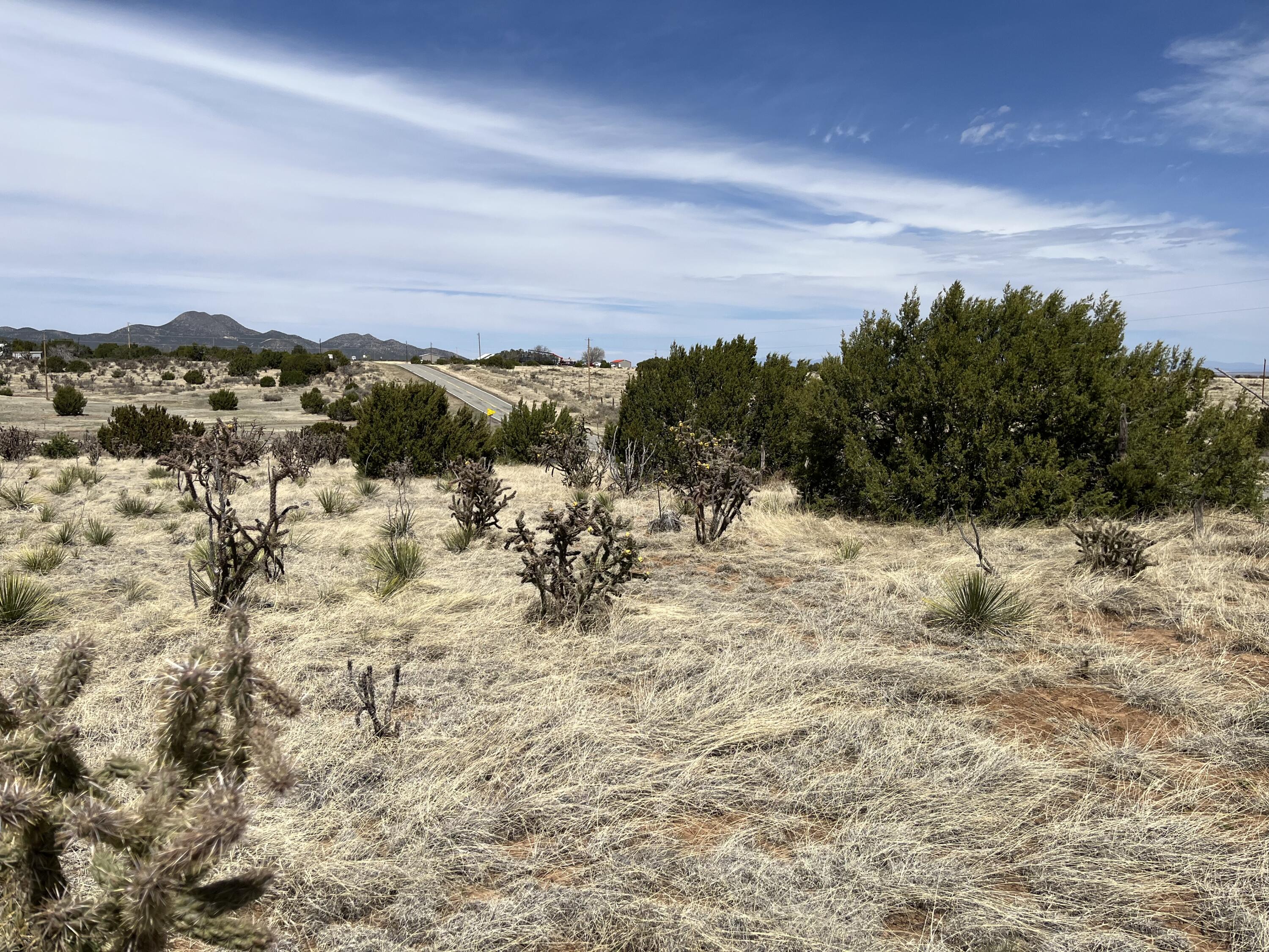 975 Nm 344, Edgewood, New Mexico image 2