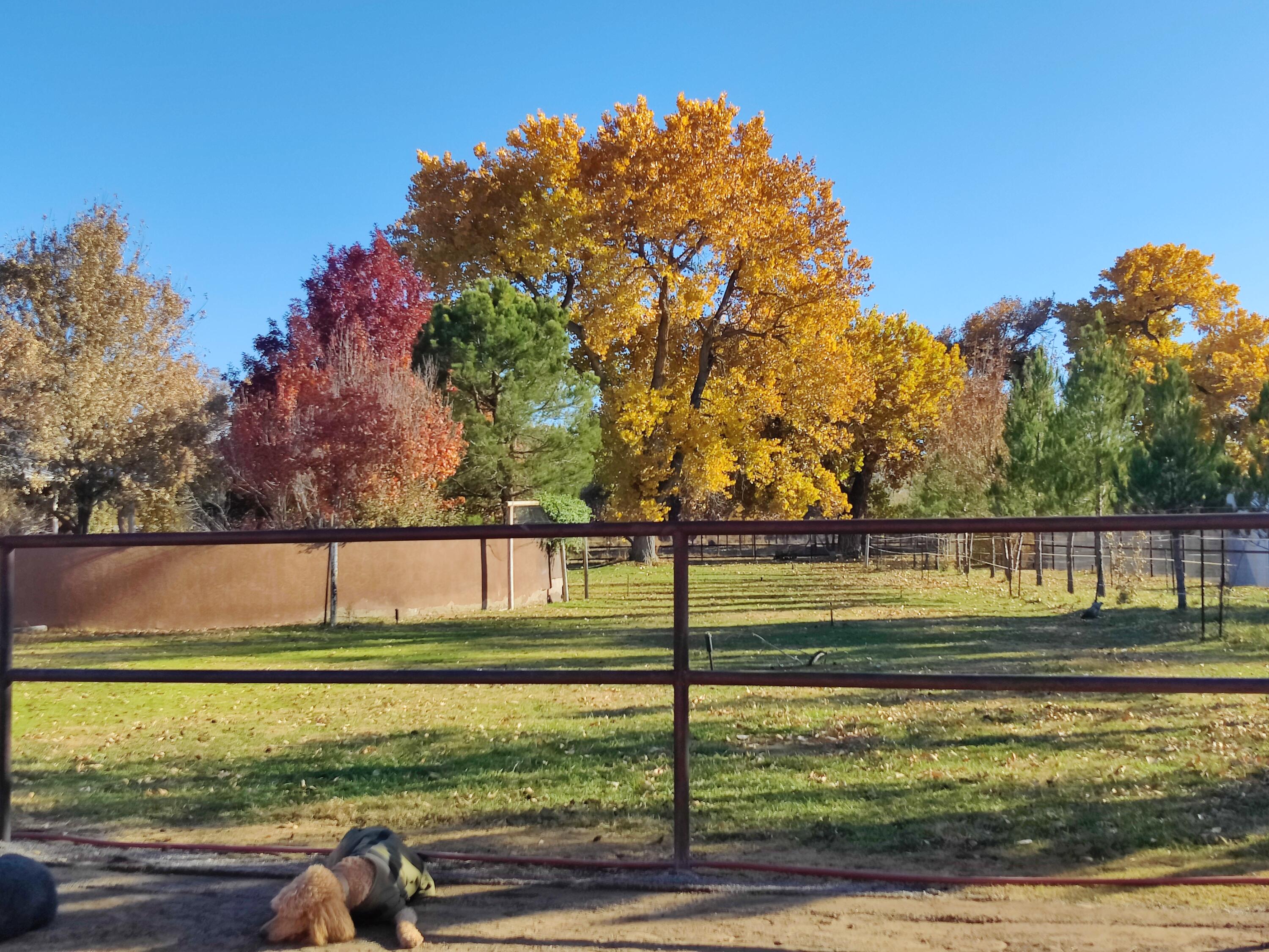 7 Wildwood Lane, Peralta, New Mexico image 32