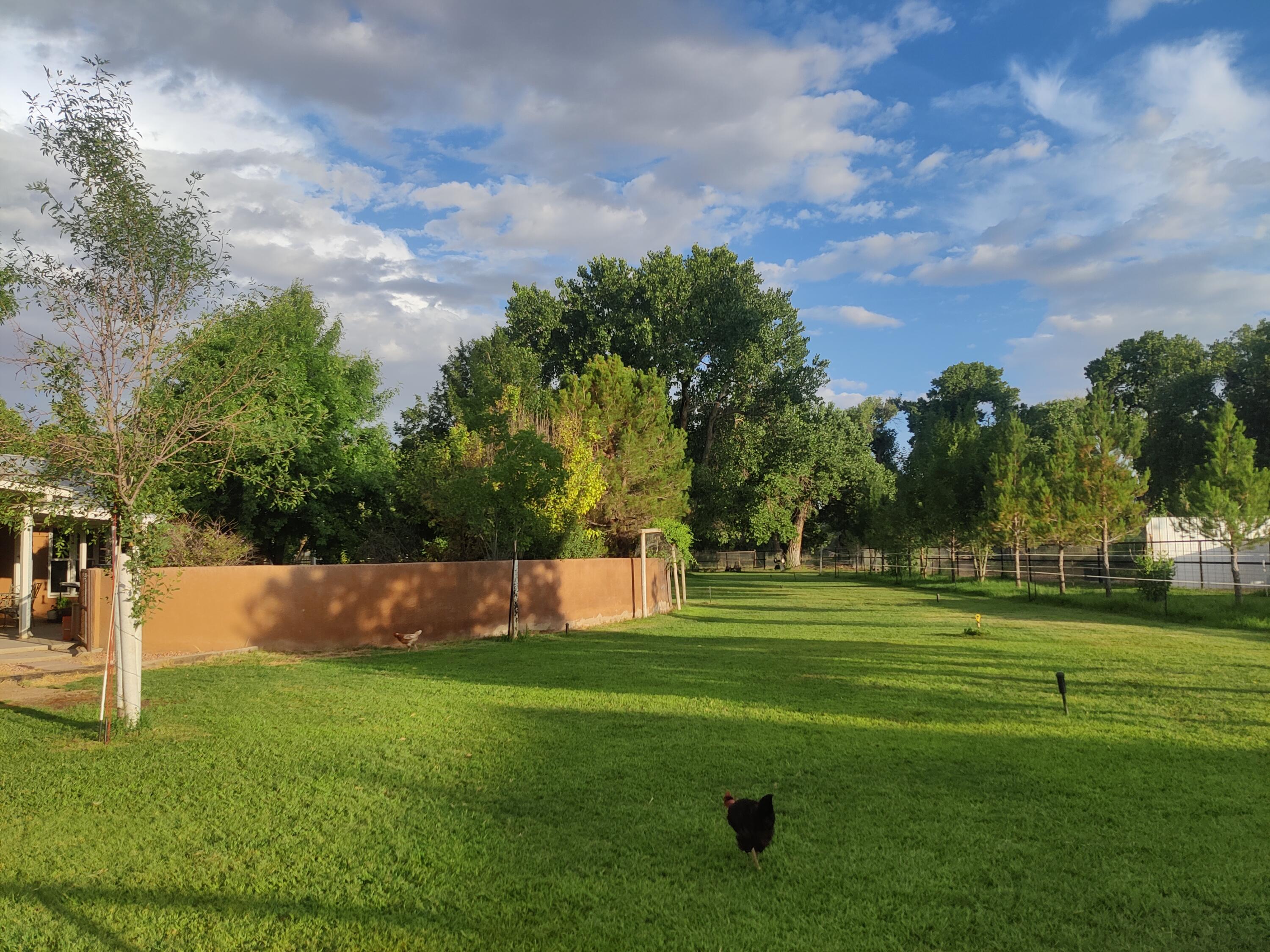7 Wildwood Lane, Peralta, New Mexico image 30
