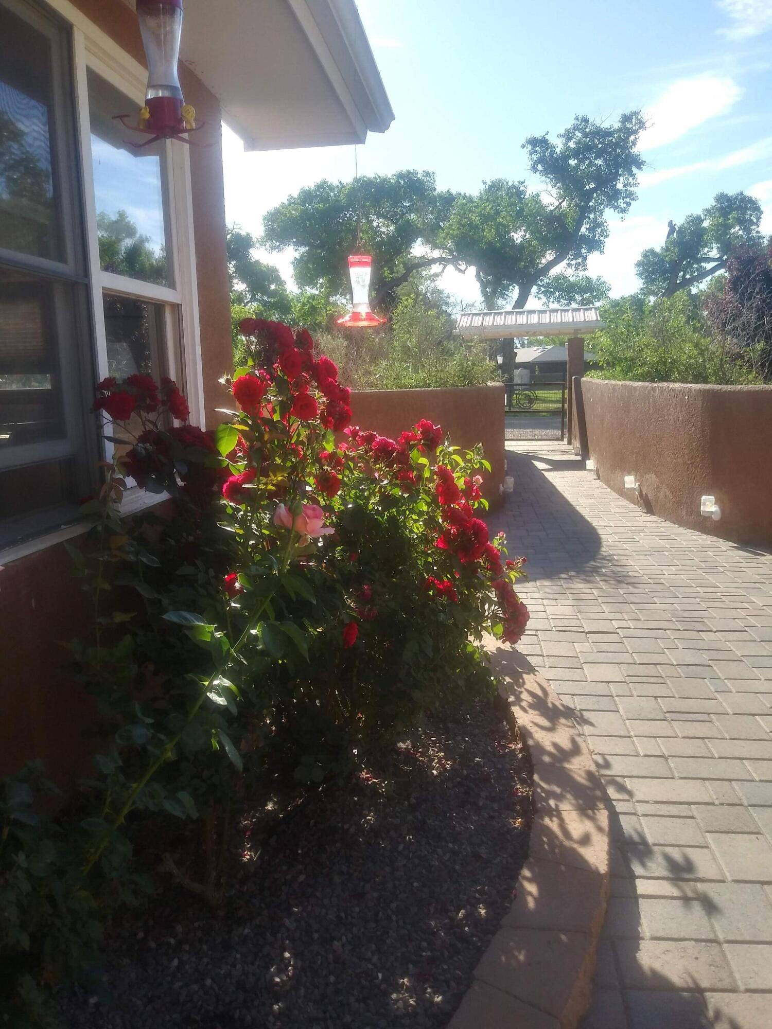 7 Wildwood Lane, Peralta, New Mexico image 37
