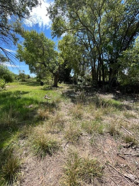 459 Garcia Avenue, Belen, New Mexico image 8