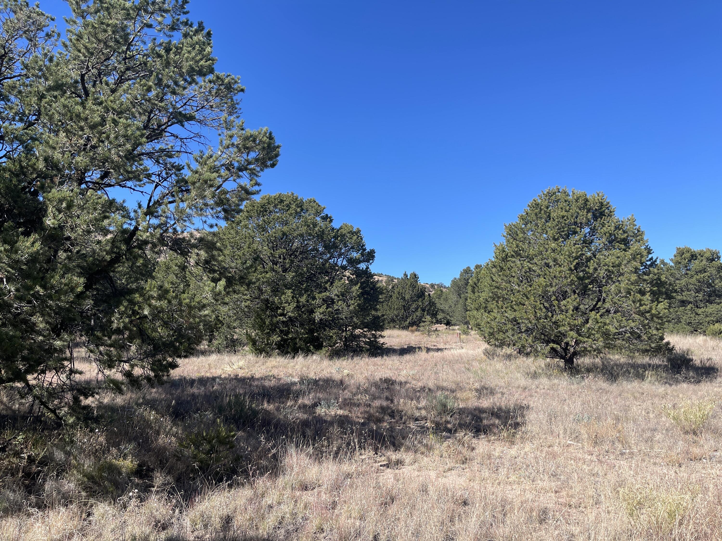 111 Homestead Trail, Datil, New Mexico image 33