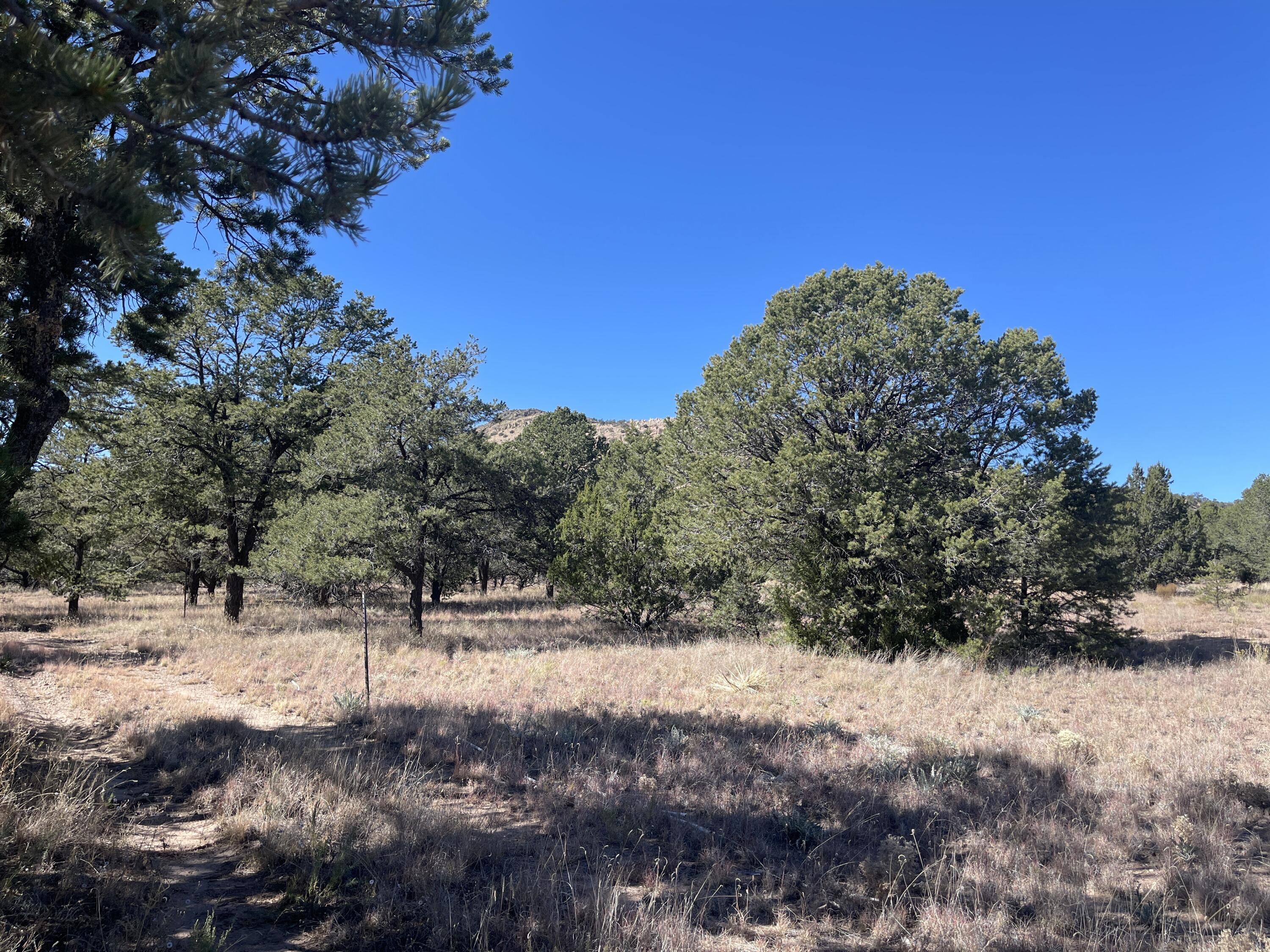 111 Homestead Trail, Datil, New Mexico image 31