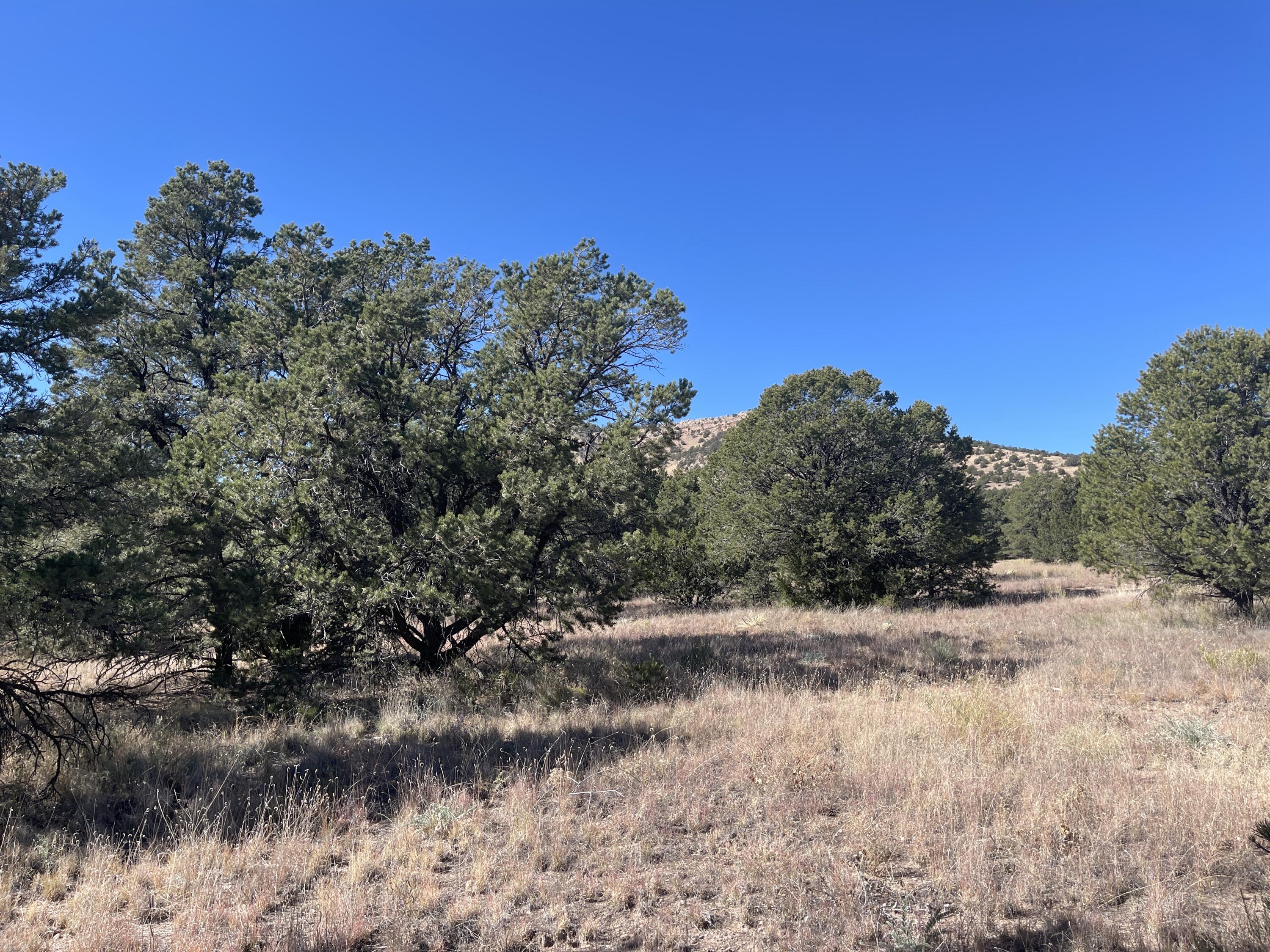 111 Homestead Trail, Datil, New Mexico image 35