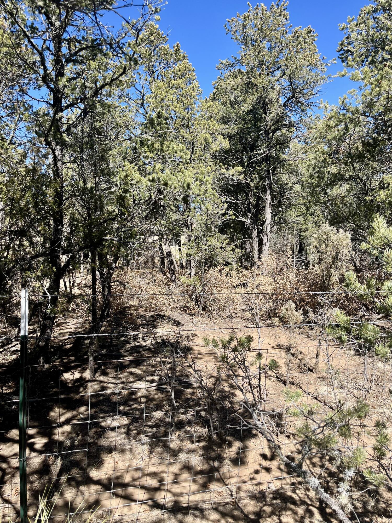 5 Drum Road, Edgewood, New Mexico image 5
