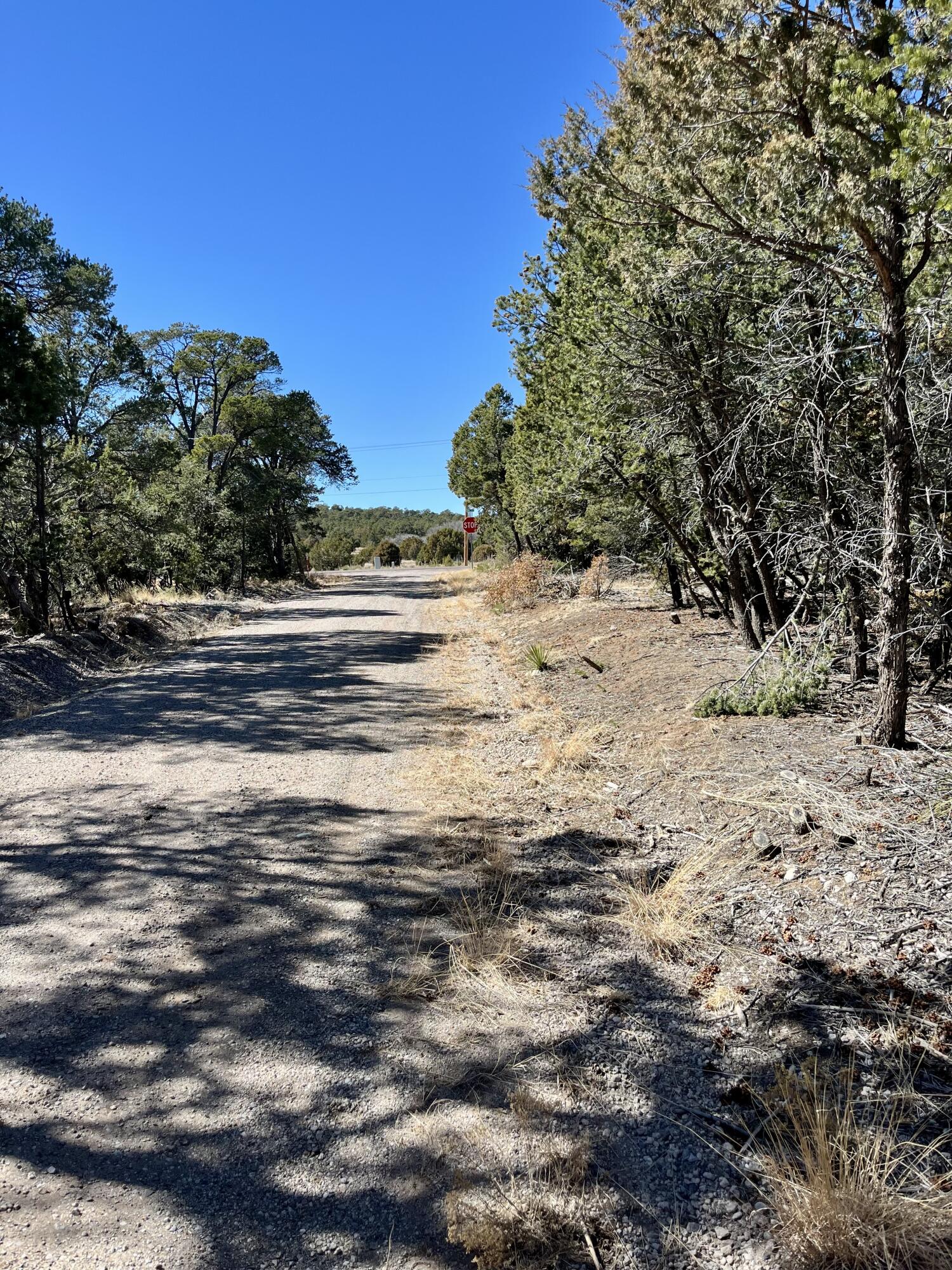 5 Drum Road, Edgewood, New Mexico image 7