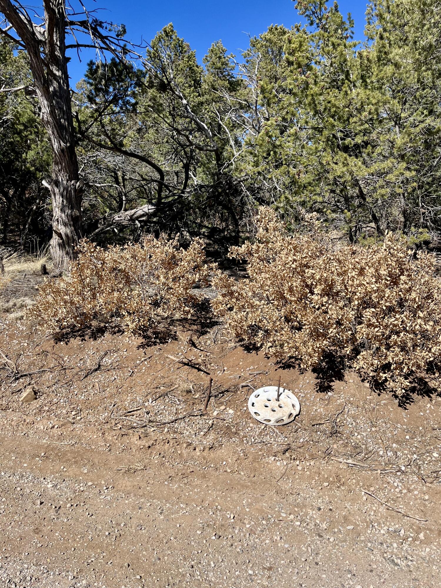 5 Drum Road, Edgewood, New Mexico image 2