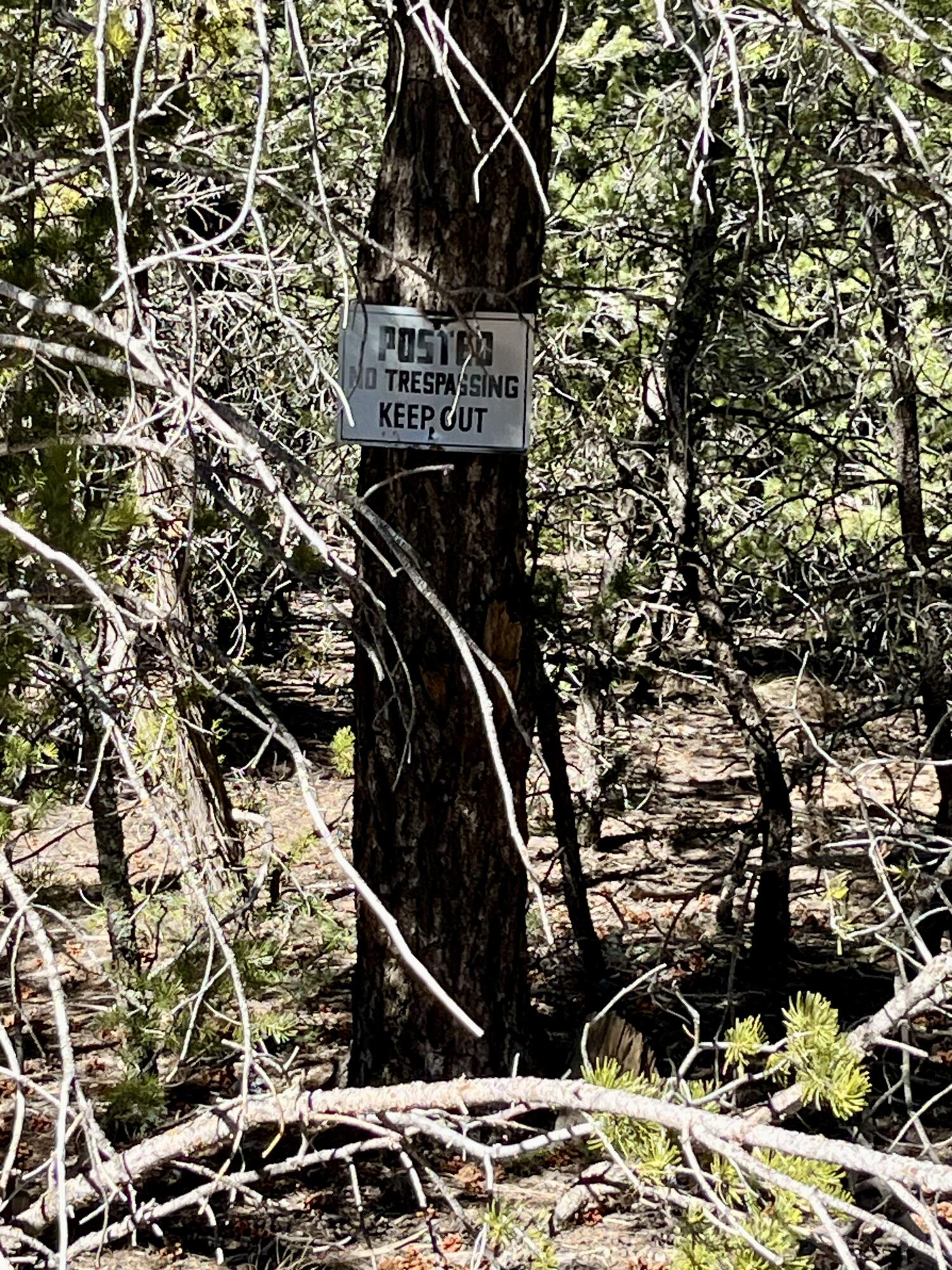 5 Drum Road, Edgewood, New Mexico image 3