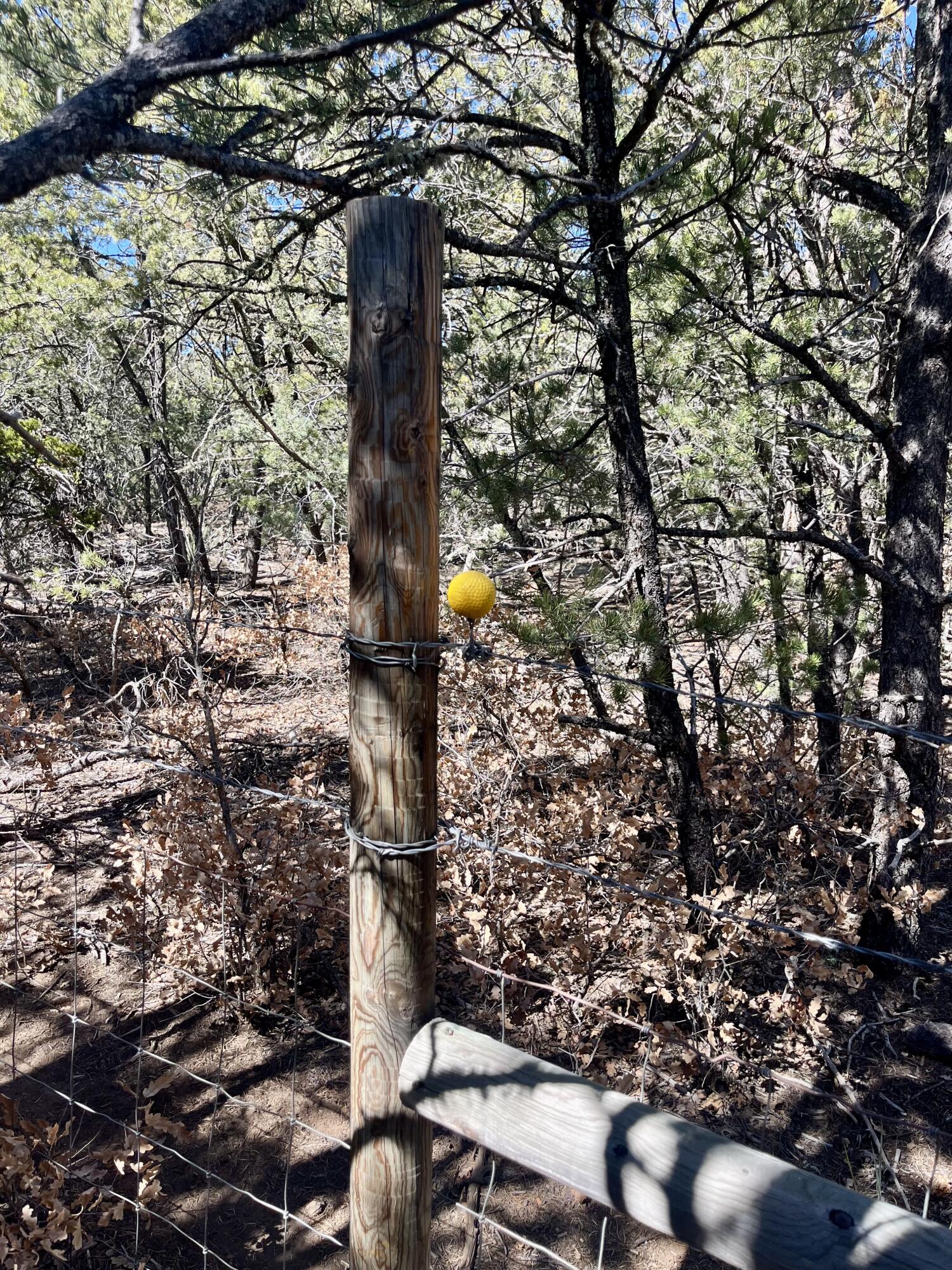 5 Drum Road, Edgewood, New Mexico image 6
