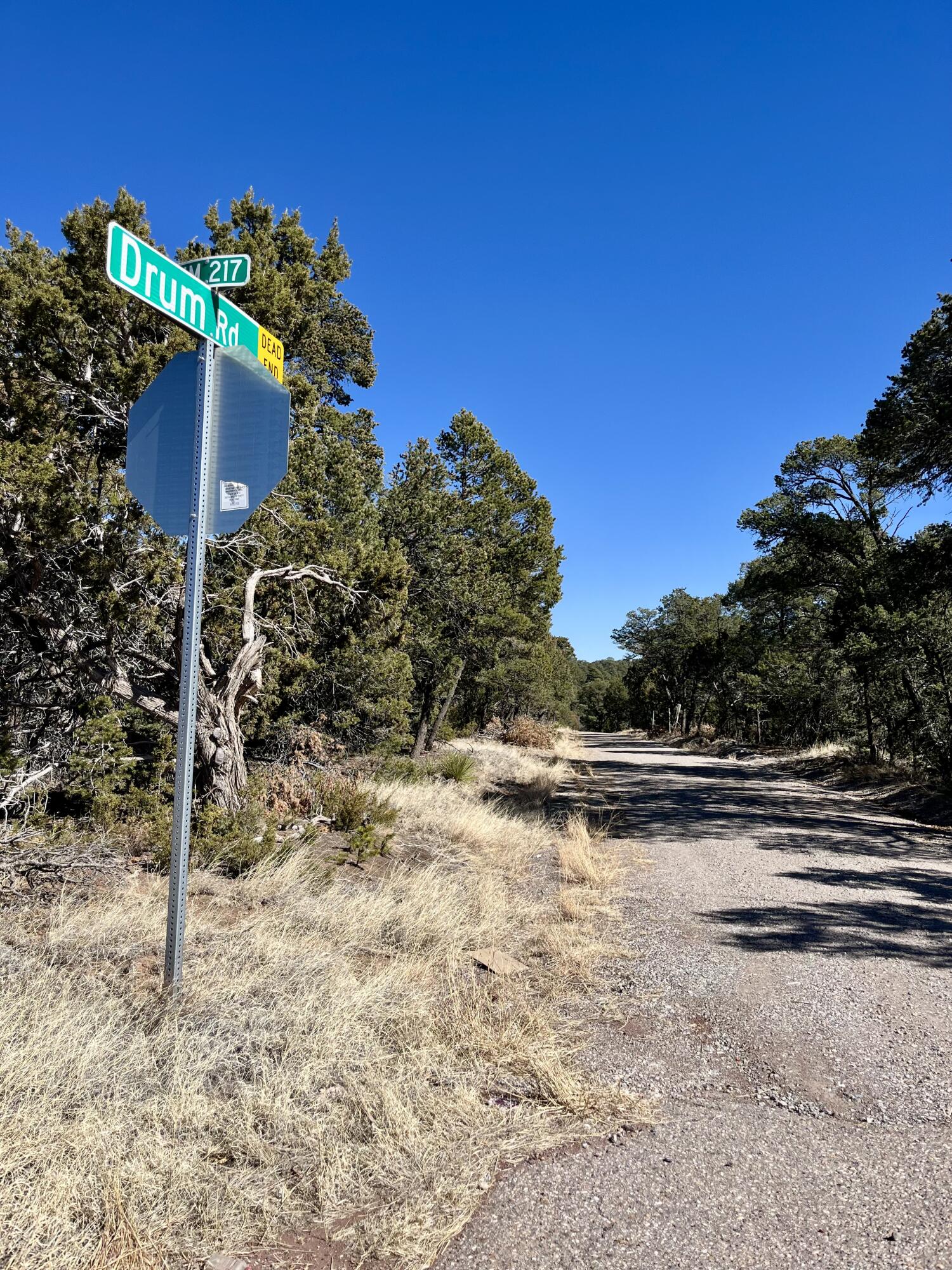 5 Drum Road, Edgewood, New Mexico image 1