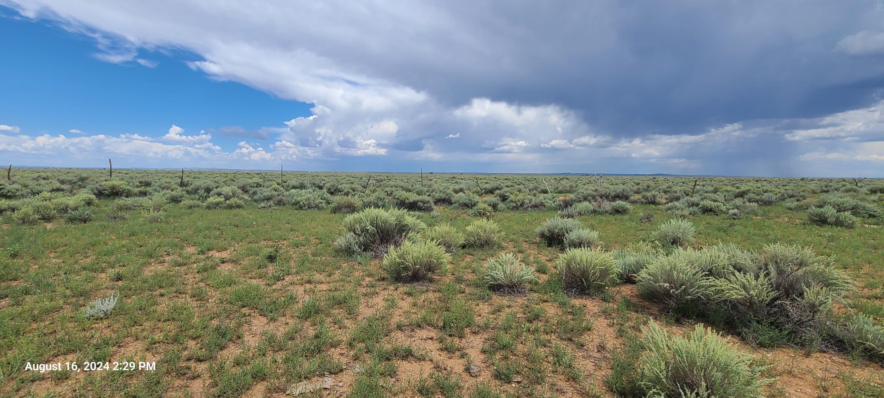 Nm Hwy 41 At Three 7s Ranch Road, Willard, New Mexico image 27