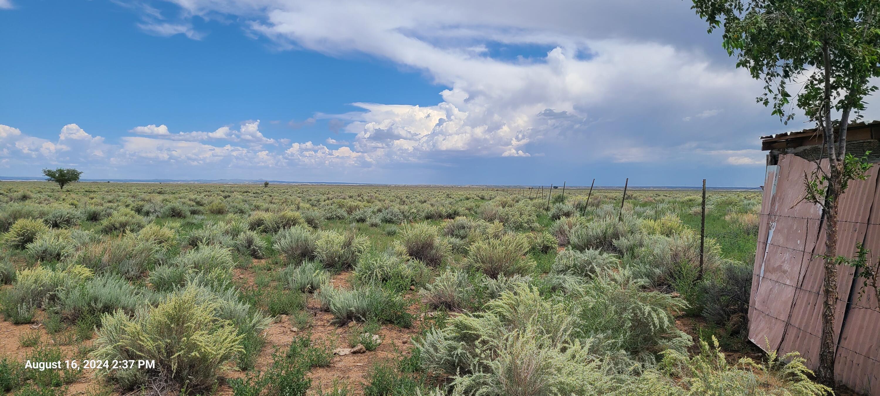 Nm Hwy 41 At Three 7s Ranch Road, Willard, New Mexico image 15