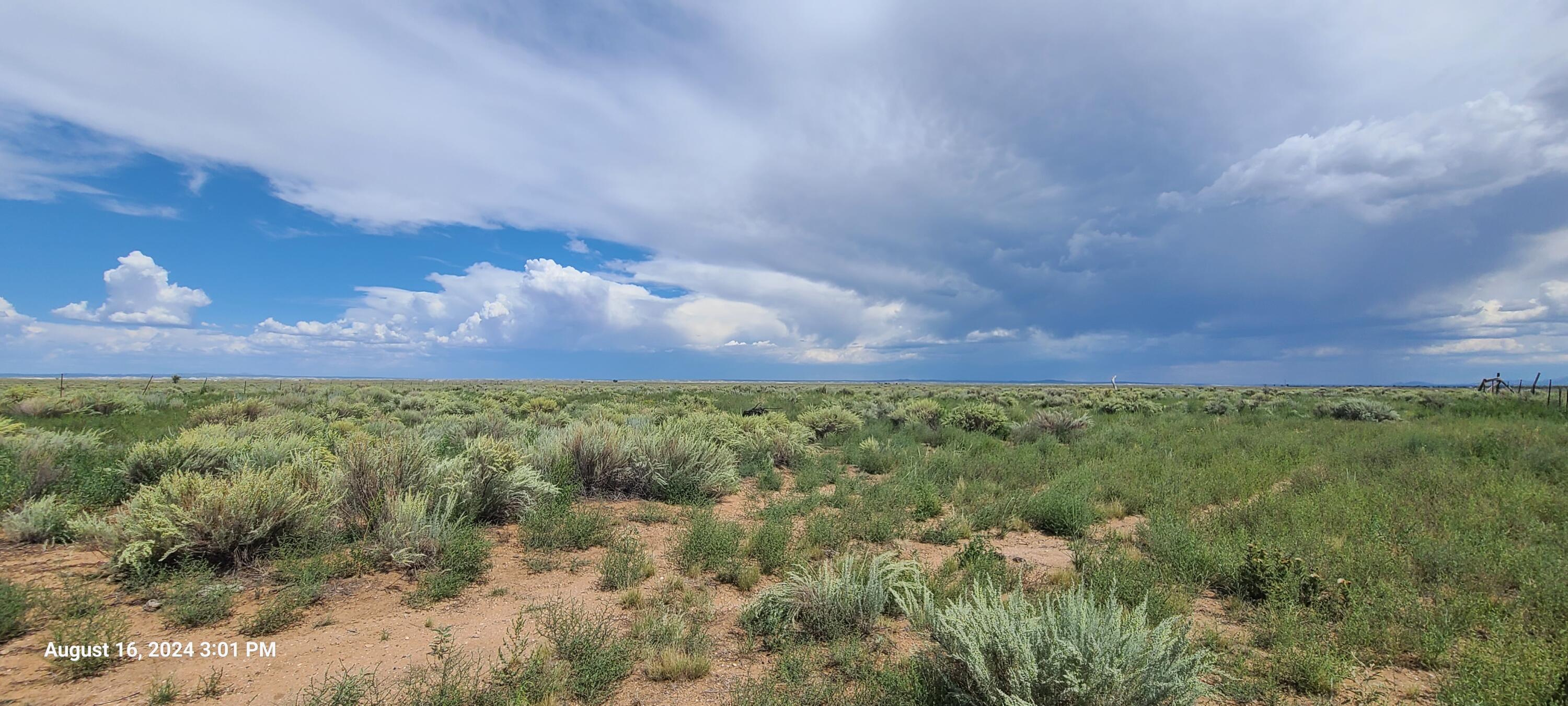 Nm Hwy 41 At Three 7s Ranch Road, Willard, New Mexico image 23