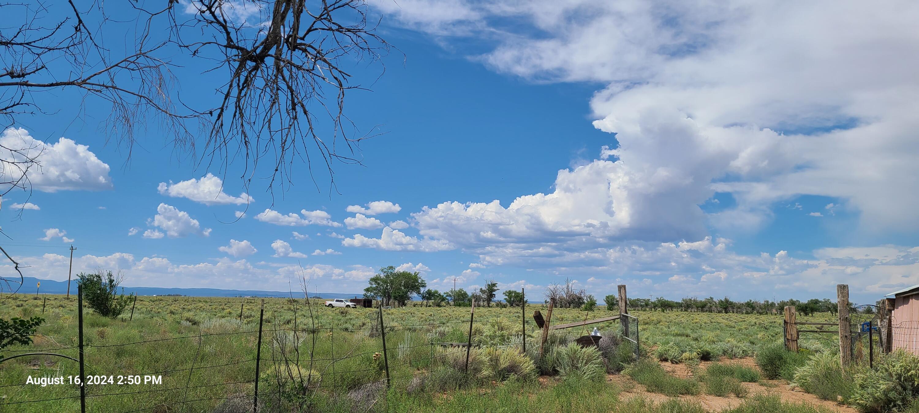 Nm Hwy 41 At Three 7s Ranch Road, Willard, New Mexico image 16