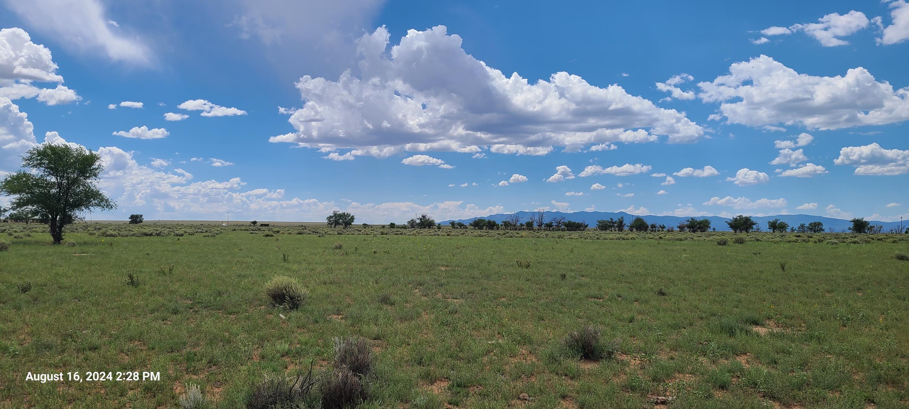 Nm Hwy 41 At Three 7s Ranch Road, Willard, New Mexico image 1