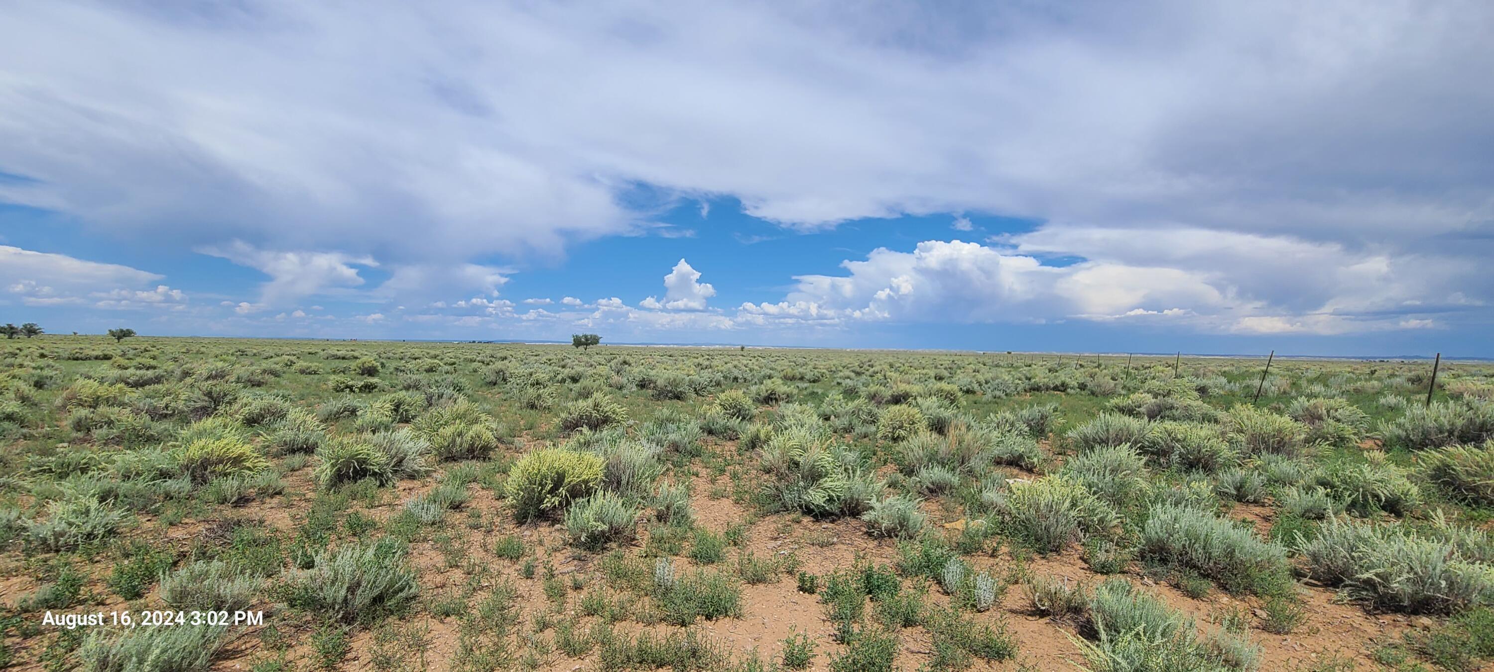 Nm Hwy 41 At Three 7s Ranch Road, Willard, New Mexico image 20