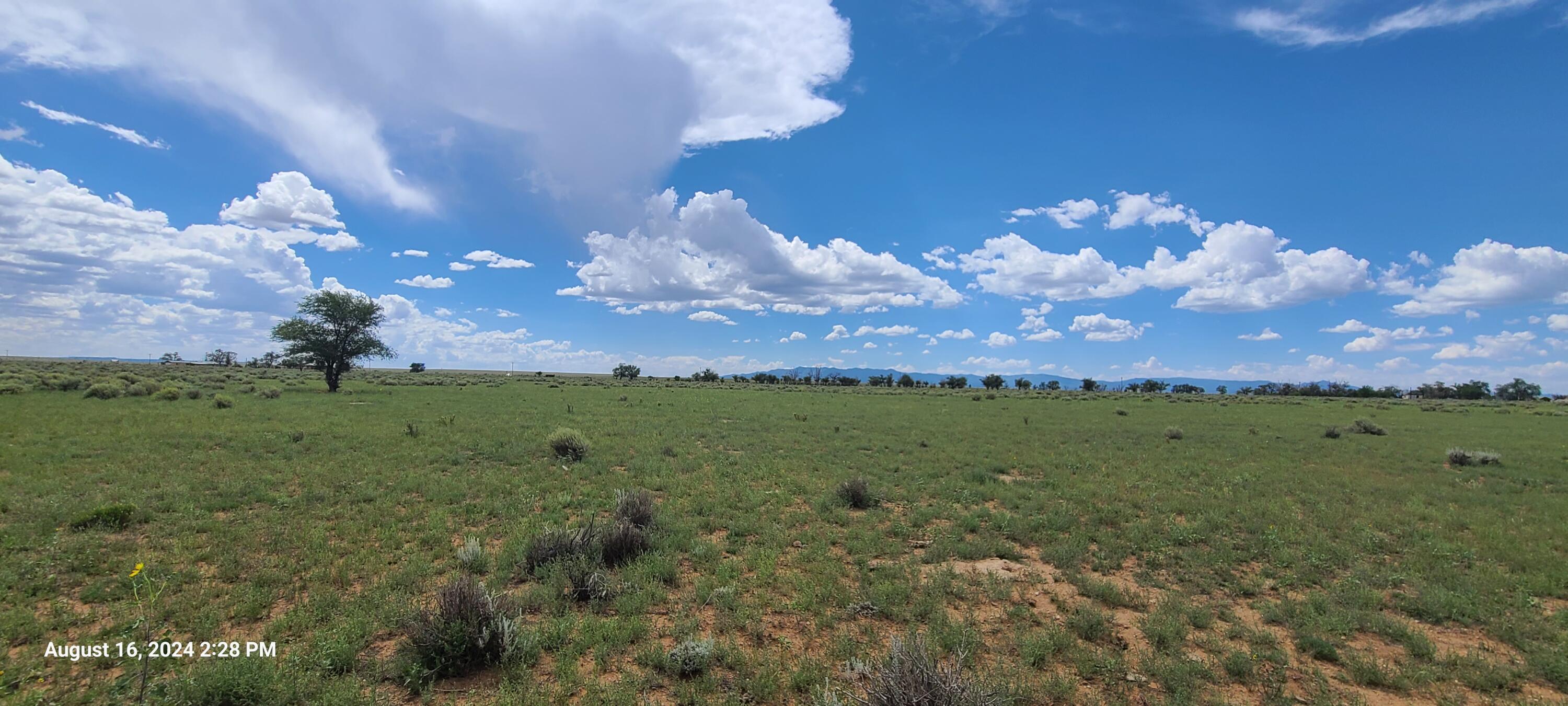 Nm Hwy 41 At Three 7s Ranch Road, Willard, New Mexico image 31