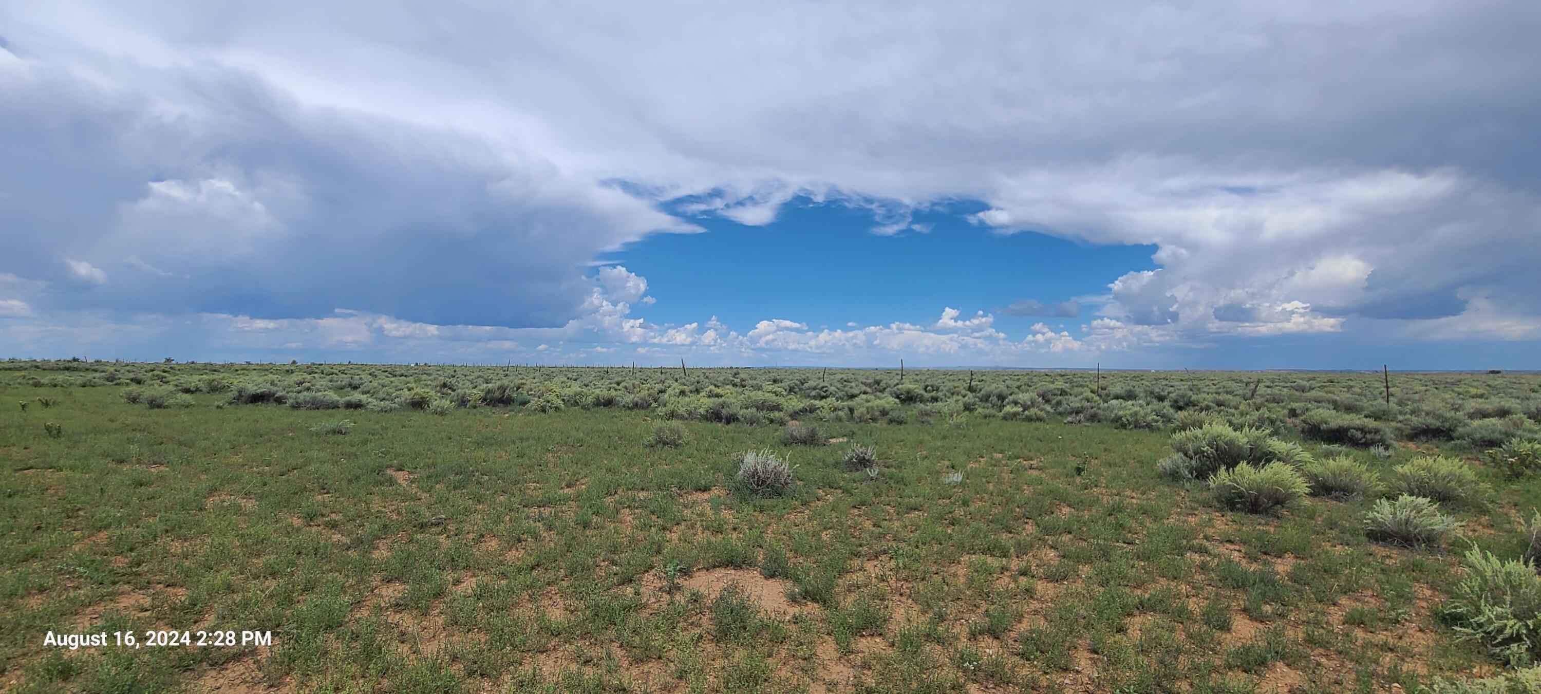 Nm Hwy 41 At Three 7s Ranch Road, Willard, New Mexico image 29