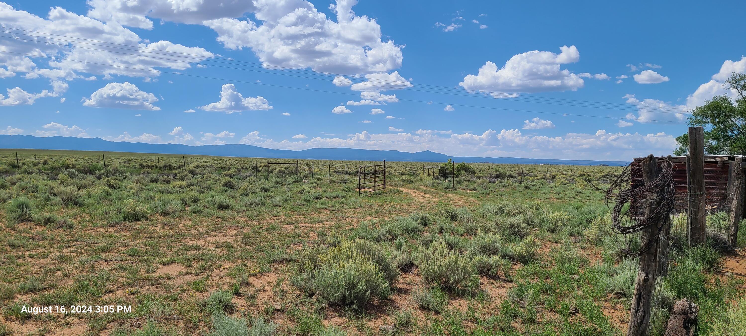 Nm Hwy 41 At Three 7s Ranch Road, Willard, New Mexico image 8