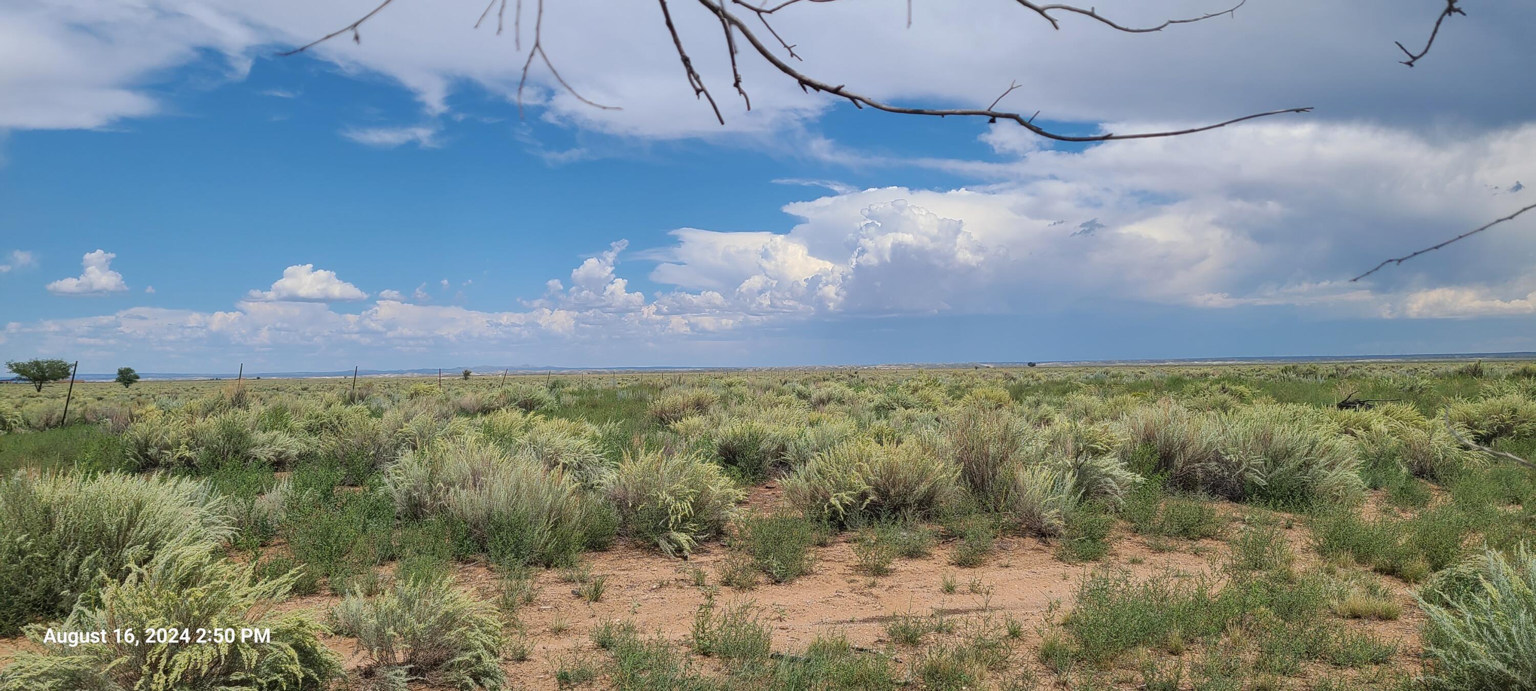 Nm Hwy 41 At Three 7s Ranch Road, Willard, New Mexico image 24