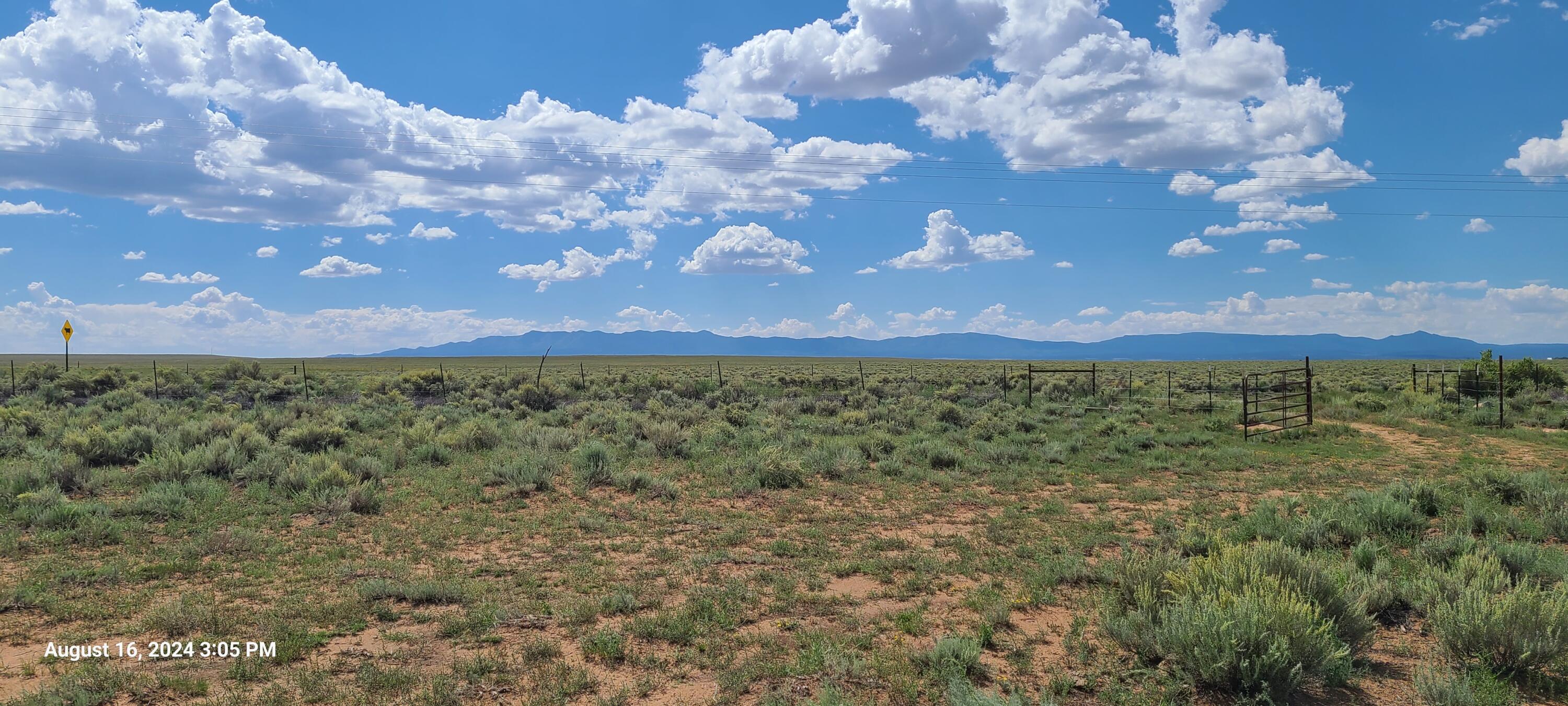 Nm Hwy 41 At Three 7s Ranch Road, Willard, New Mexico image 2