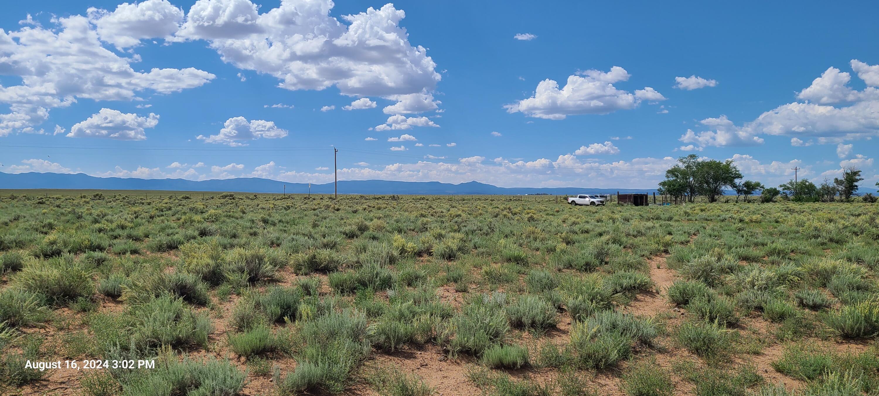 Nm Hwy 41 At Three 7s Ranch Road, Willard, New Mexico image 18