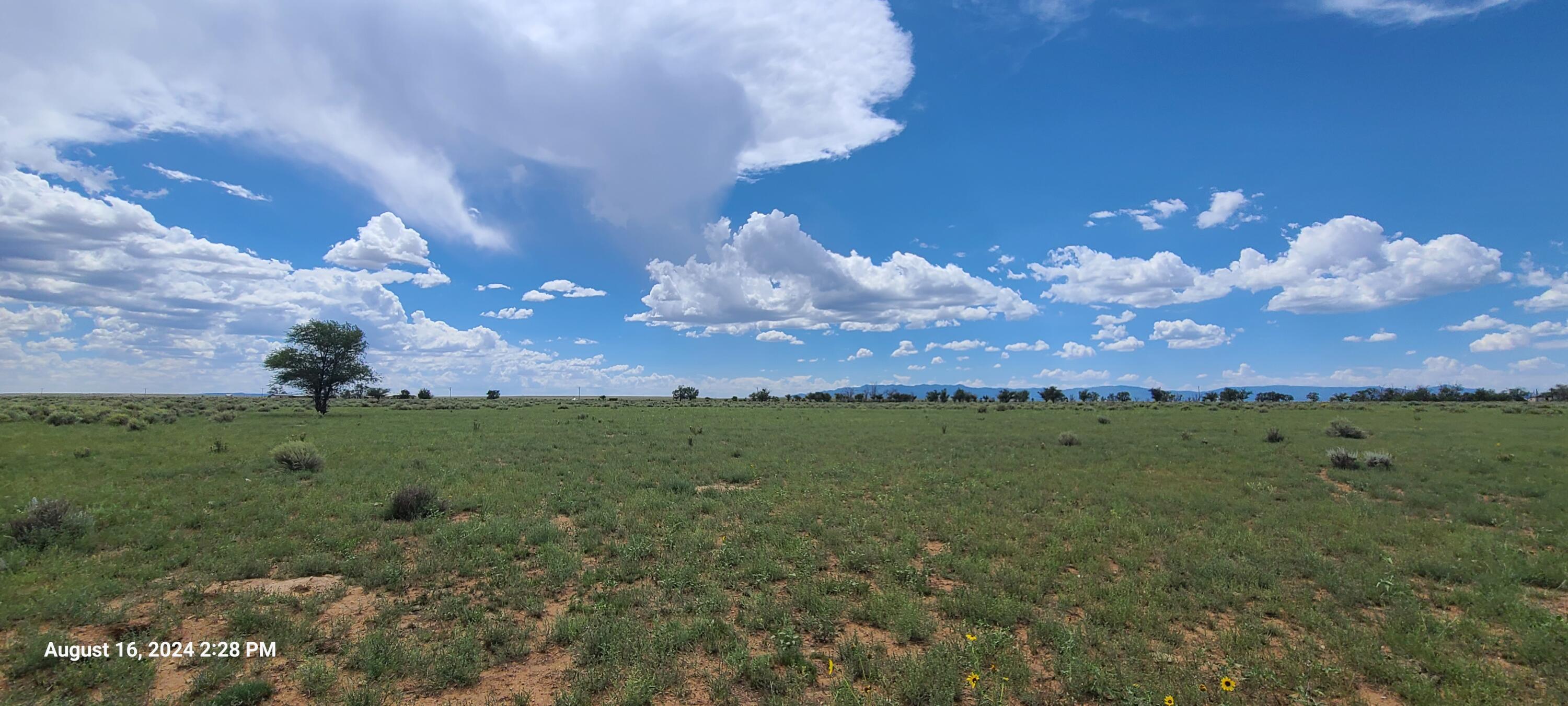 Nm Hwy 41 At Three 7s Ranch Road, Willard, New Mexico image 28