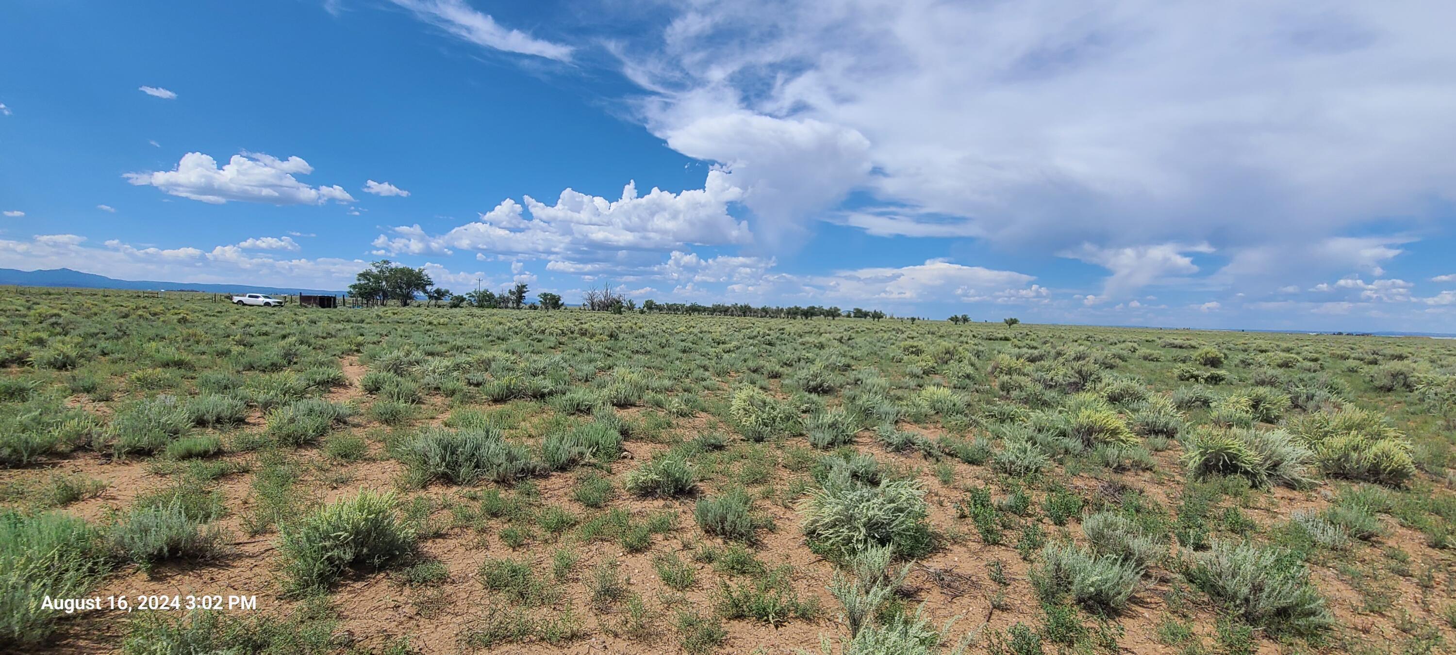 Nm Hwy 41 At Three 7s Ranch Road, Willard, New Mexico image 22