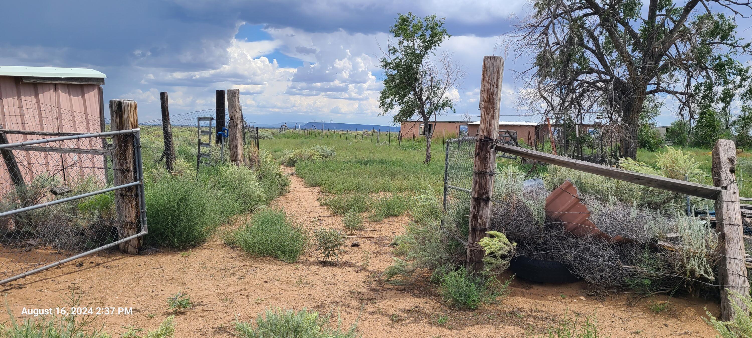 Nm Hwy 41 At Three 7s Ranch Road, Willard, New Mexico image 13