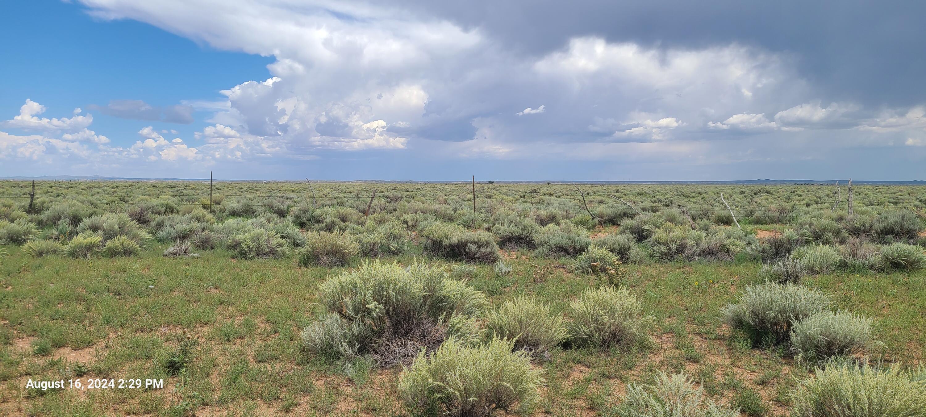 Nm Hwy 41 At Three 7s Ranch Road, Willard, New Mexico image 26