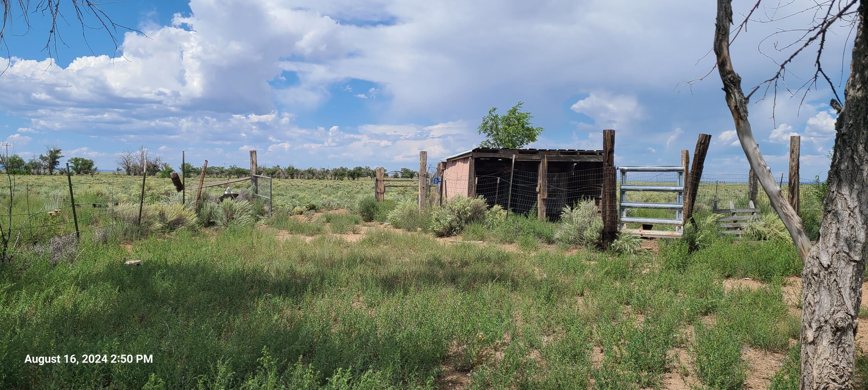 Nm Hwy 41 At Three 7s Ranch Road, Willard, New Mexico image 11