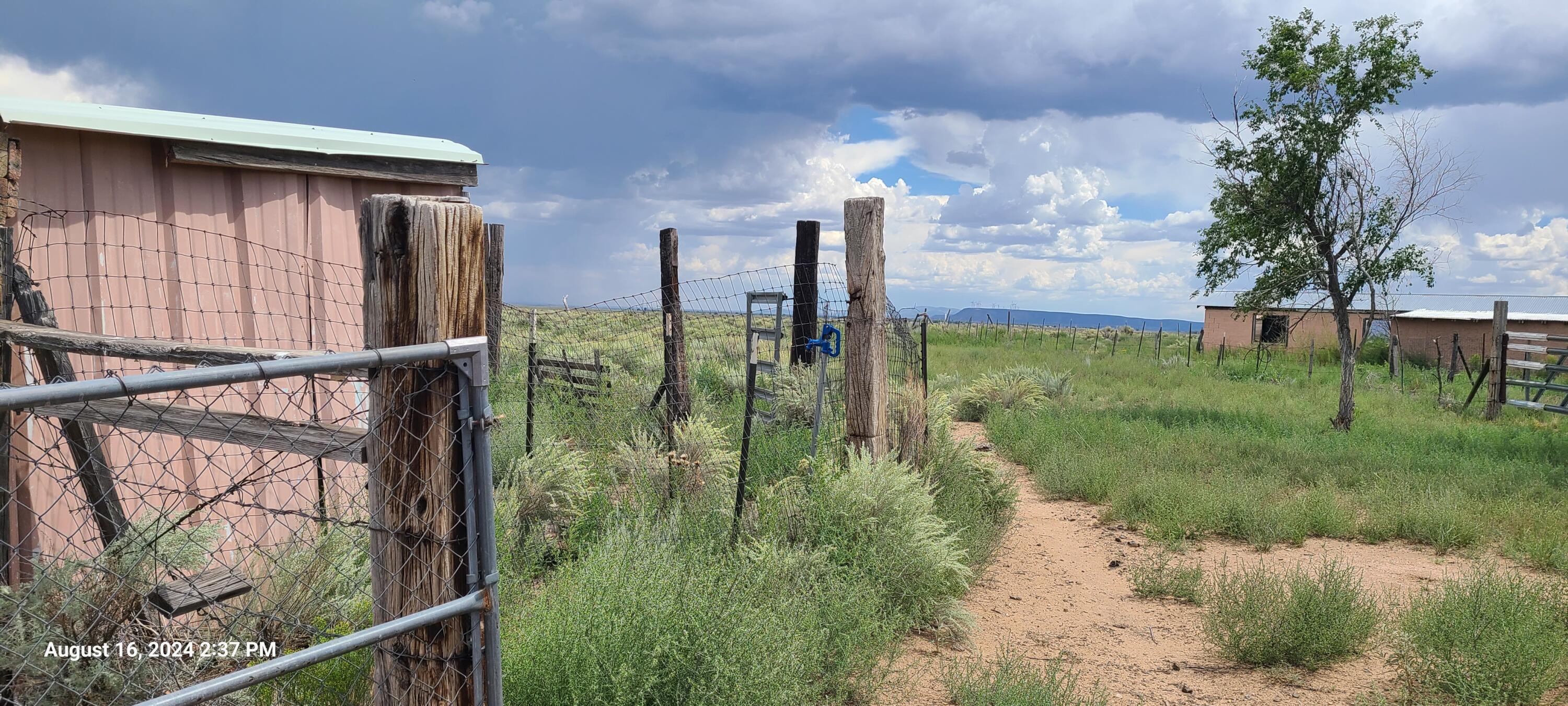 Nm Hwy 41 At Three 7s Ranch Road, Willard, New Mexico image 14