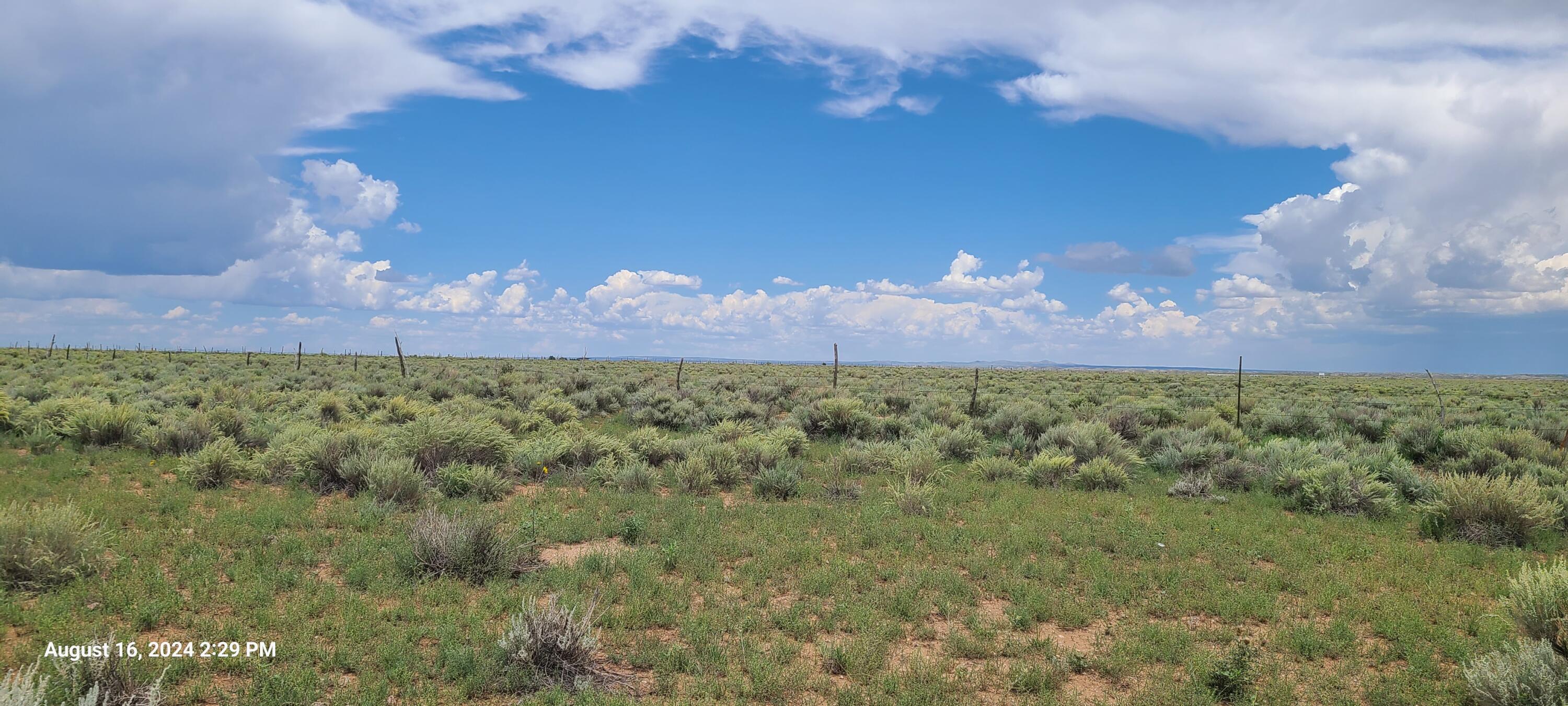 Nm Hwy 41 At Three 7s Ranch Road, Willard, New Mexico image 25