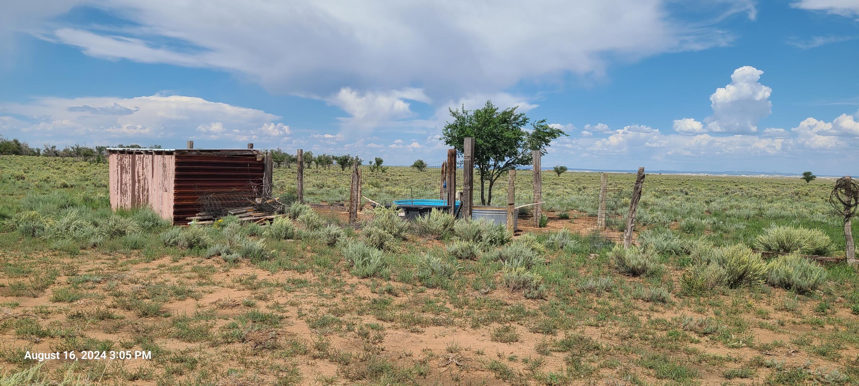 Nm Hwy 41 At Three 7s Ranch Road, Willard, New Mexico image 12