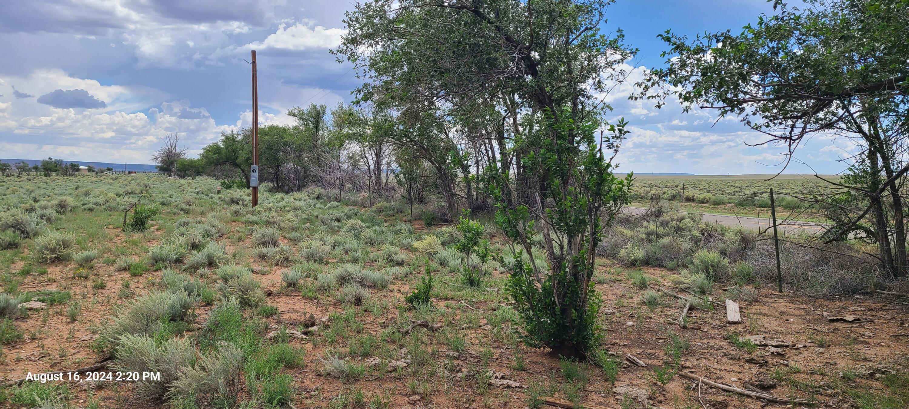 Nm Hwy 41 At Three 7s Ranch Road, Willard, New Mexico image 5