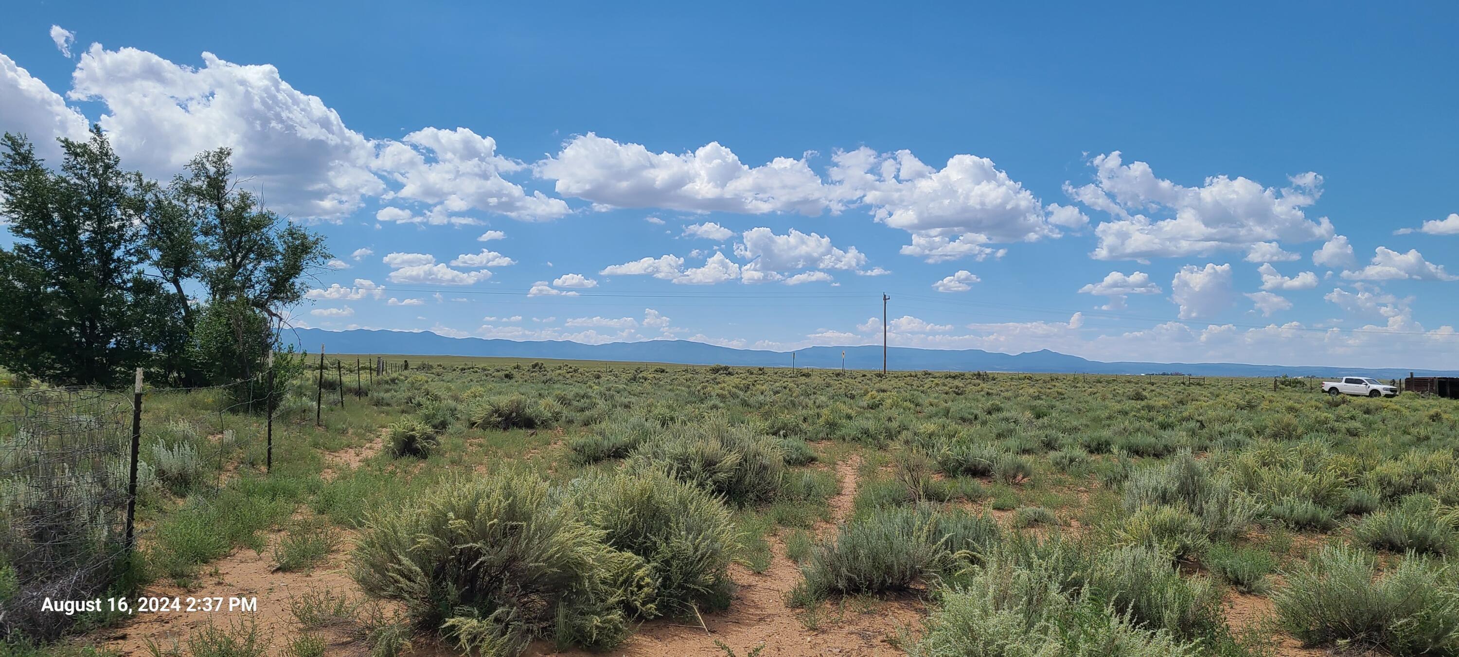 Nm Hwy 41 At Three 7s Ranch Road, Willard, New Mexico image 17