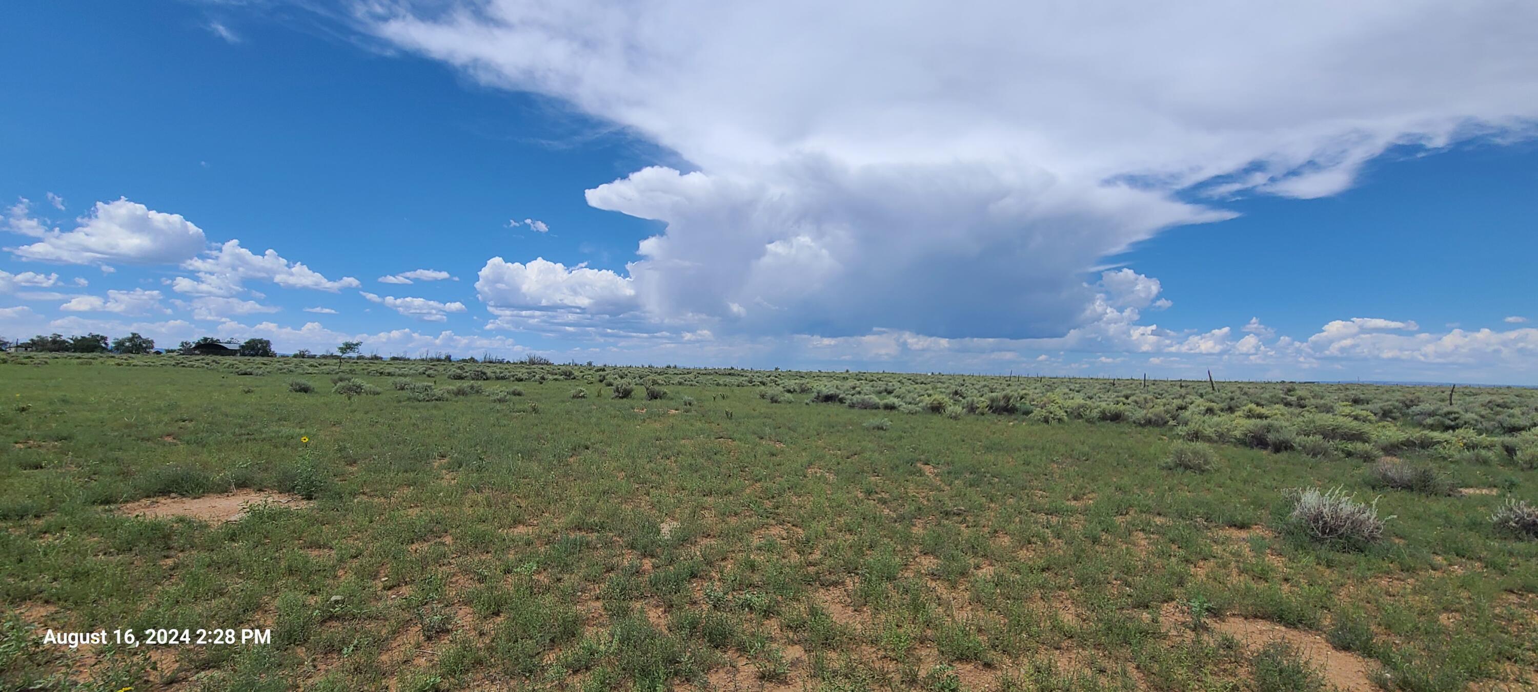 Nm Hwy 41 At Three 7s Ranch Road, Willard, New Mexico image 30