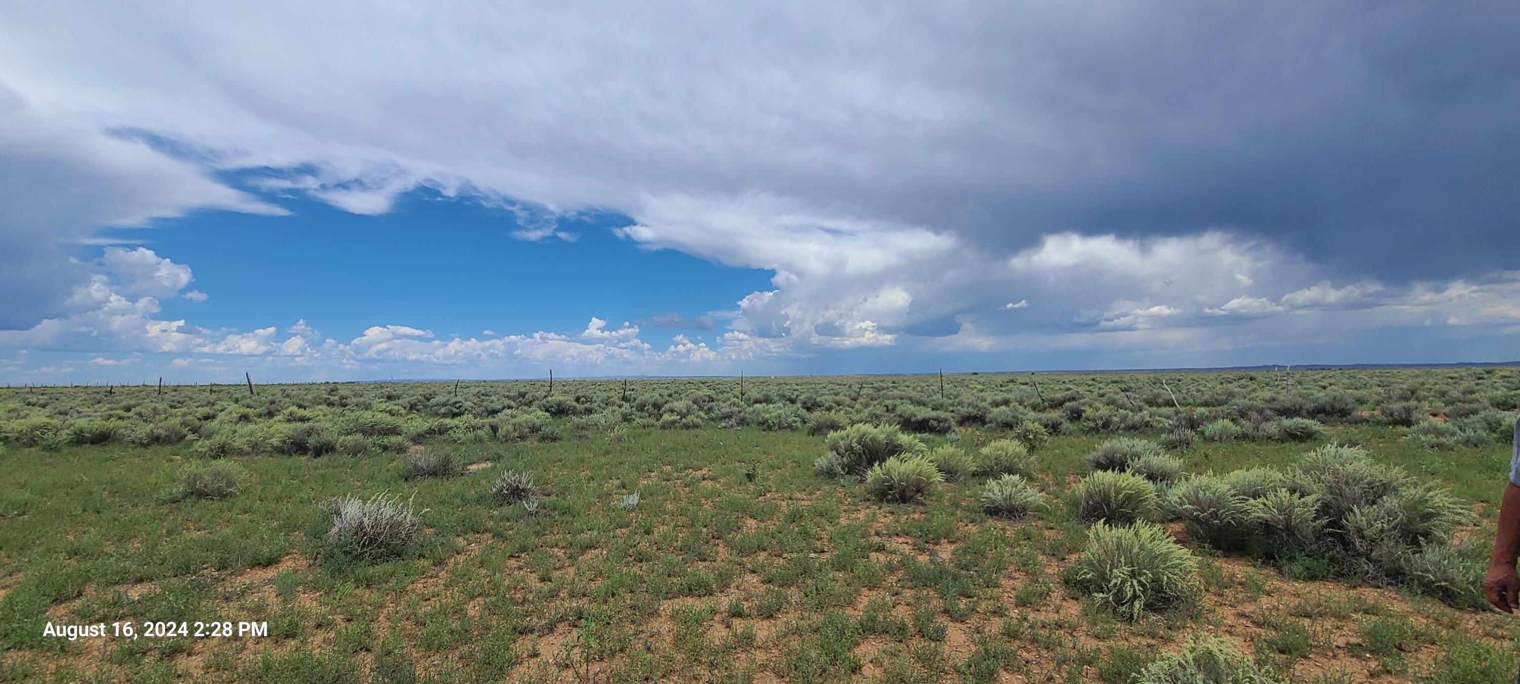 Nm Hwy 41 At Three 7s Ranch Road, Willard, New Mexico image 3