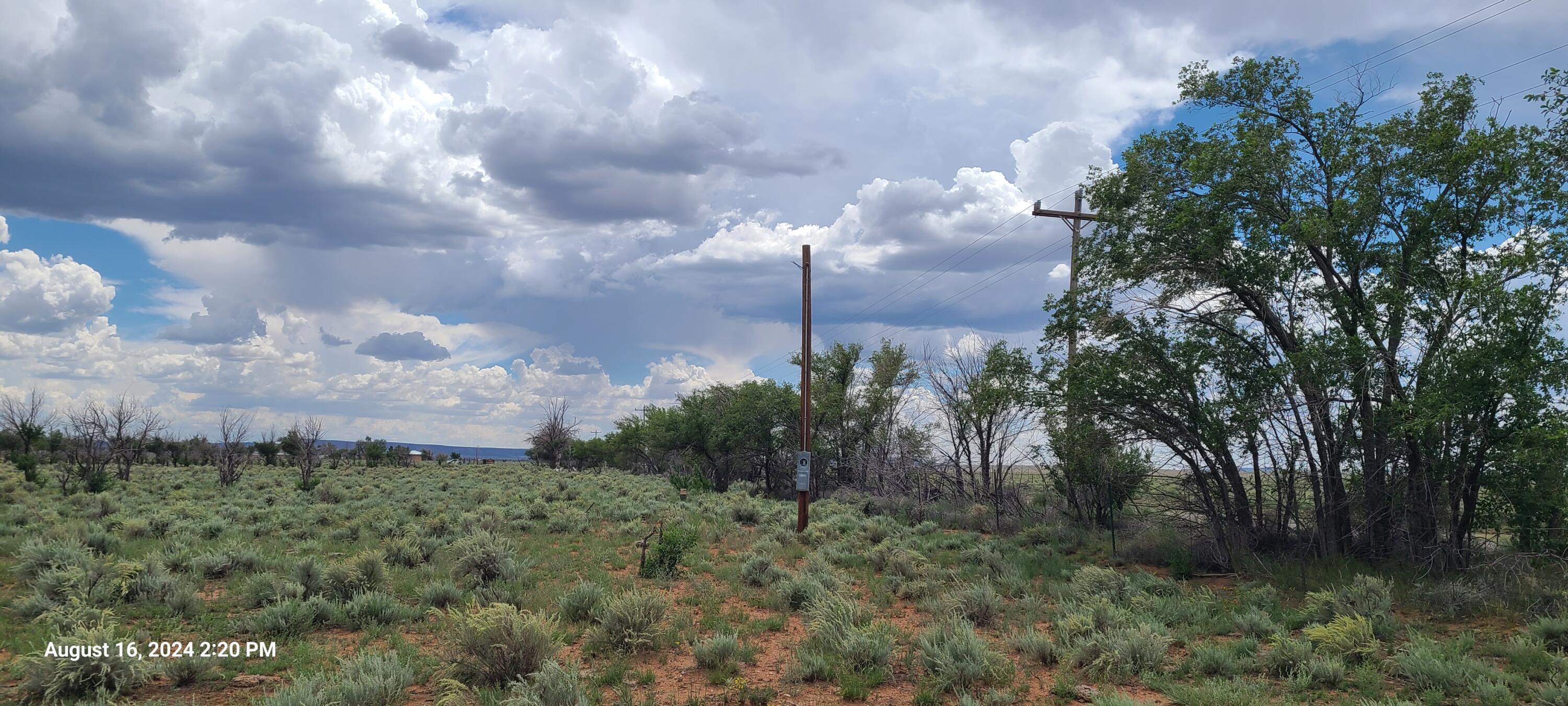 Nm Hwy 41 At Three 7s Ranch Road, Willard, New Mexico image 4