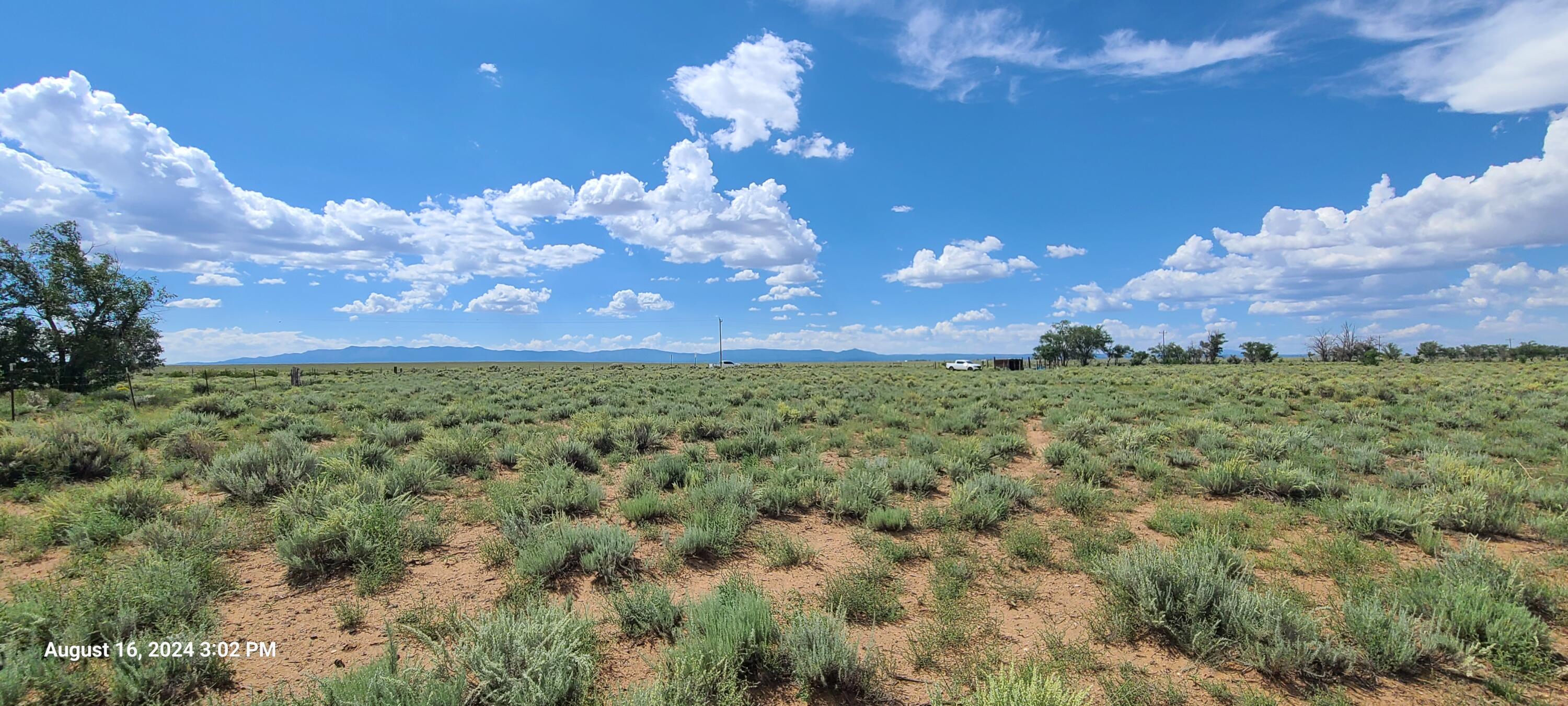 Nm Hwy 41 At Three 7s Ranch Road, Willard, New Mexico image 19