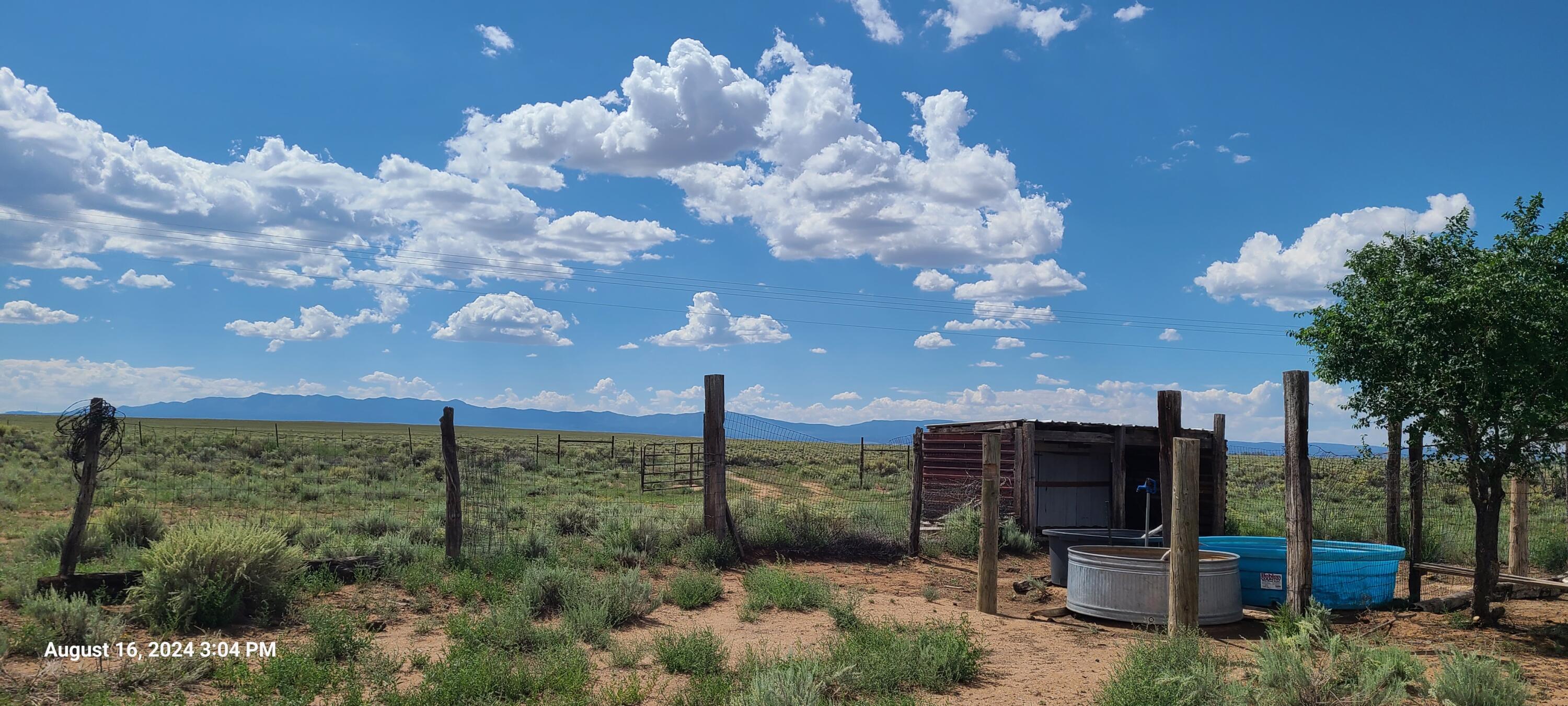 Nm Hwy 41 At Three 7s Ranch Road, Willard, New Mexico image 9