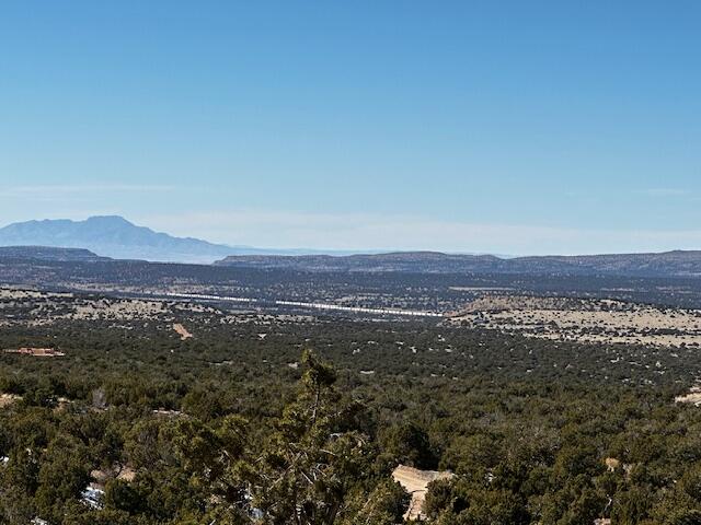 1457 Deer Canyon Tr Trl, Mountainair, New Mexico image 1