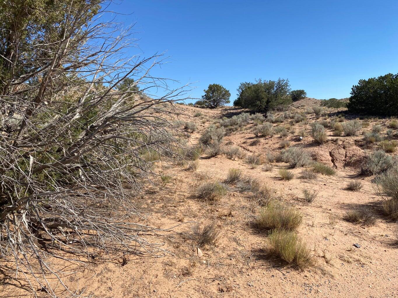 5411 Cyprian Road Road, Rio Rancho, New Mexico image 2