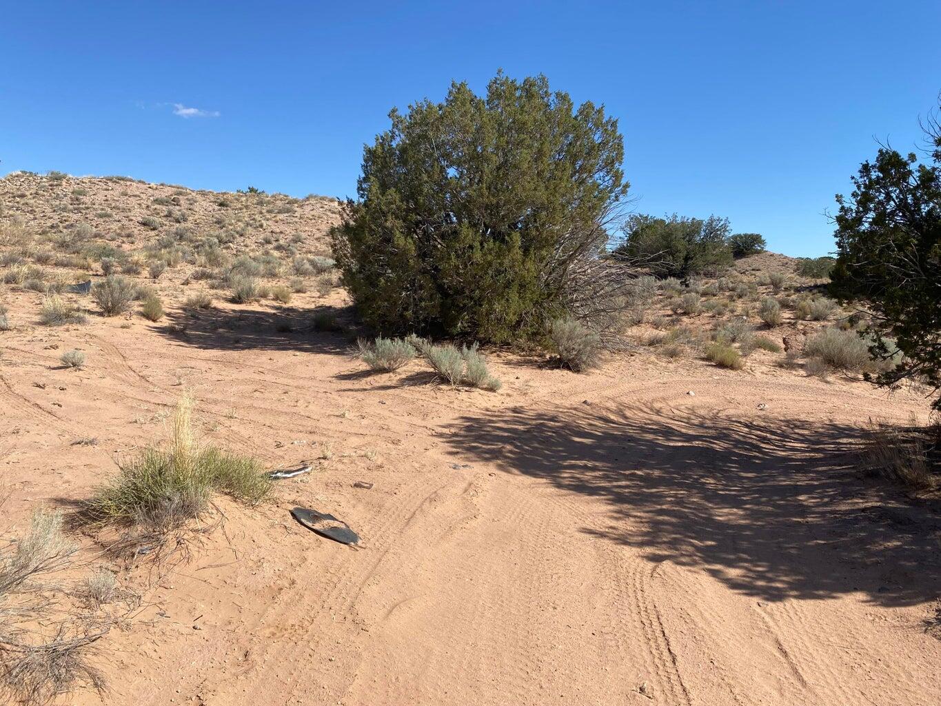 5411 Cyprian Road Road, Rio Rancho, New Mexico image 4