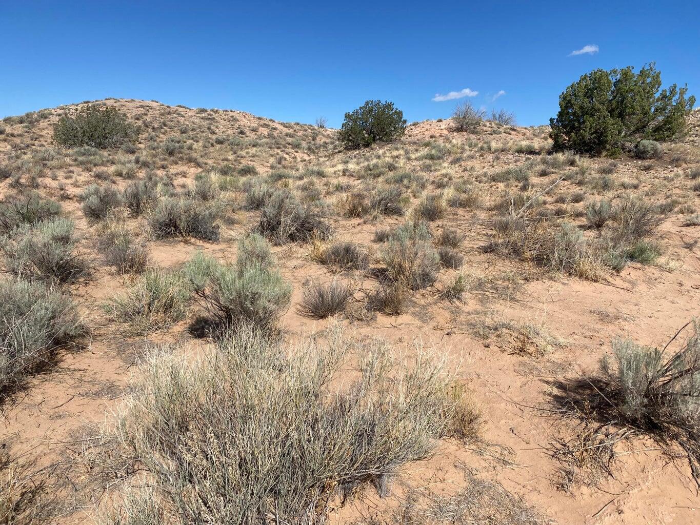 5411 Cyprian Road Road, Rio Rancho, New Mexico image 6