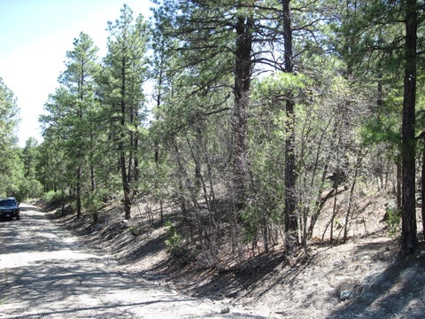 Vacant Land For Sale - 35 Green Shadow Lane<br/> Bernalillo County, Tijeras, NM 87059